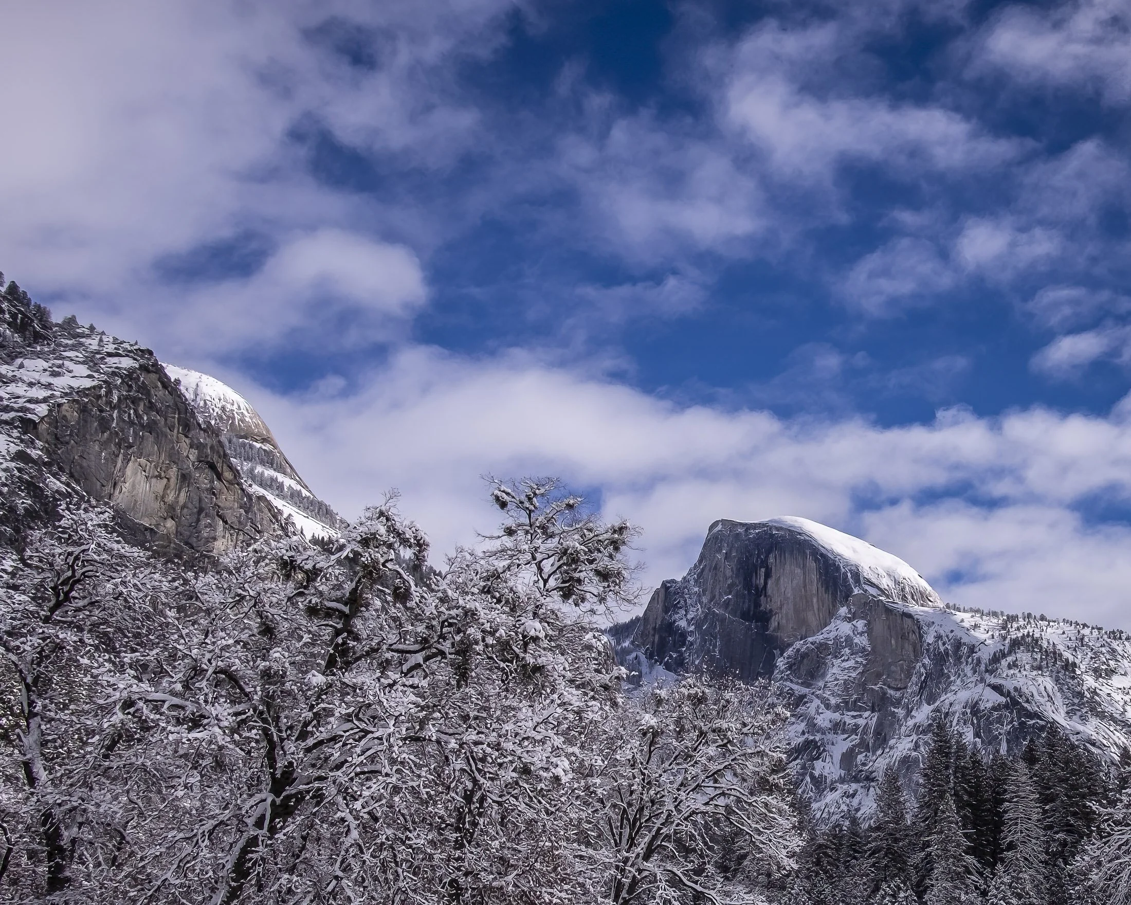 Yosemite National Park