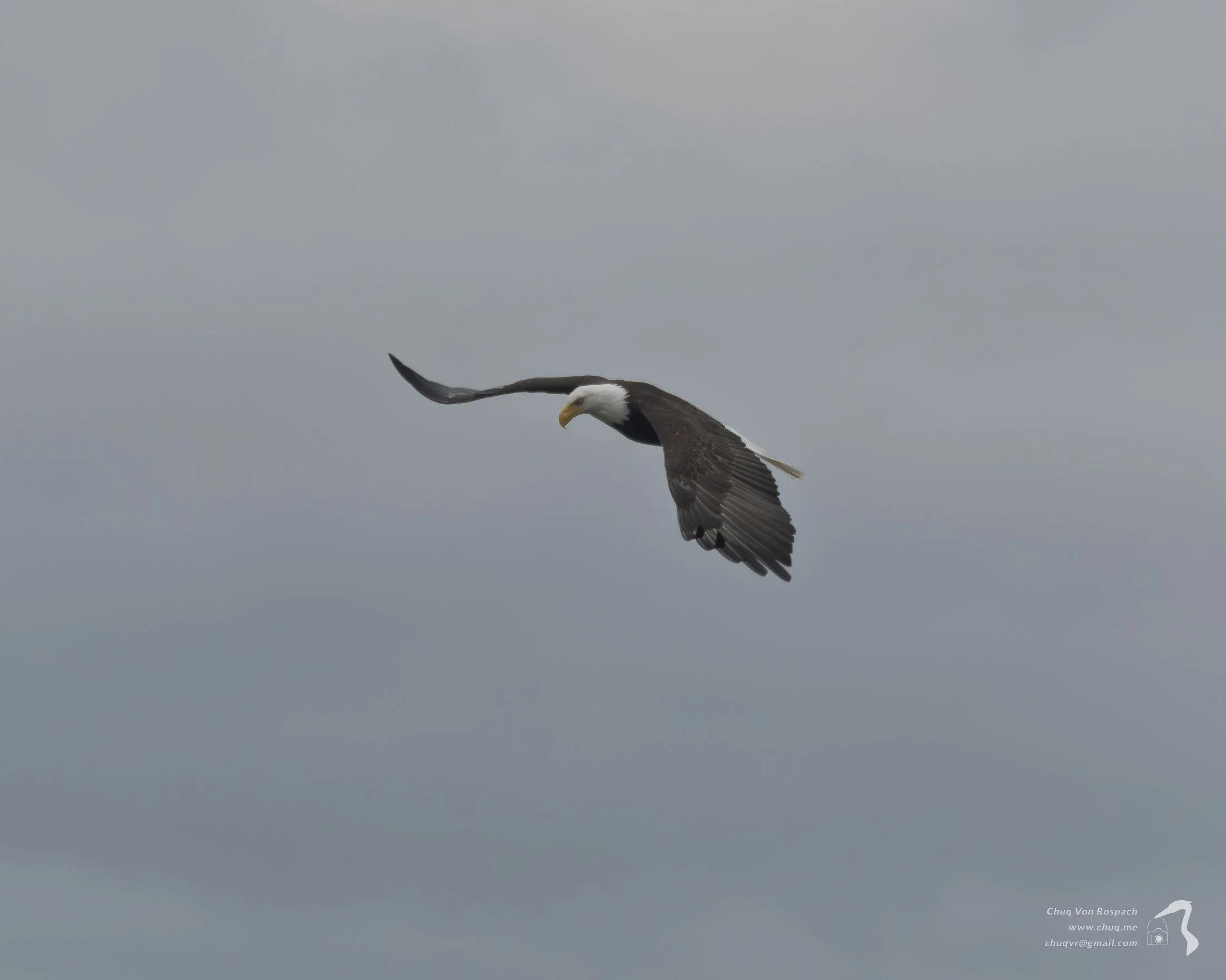 DSC04888.jpg