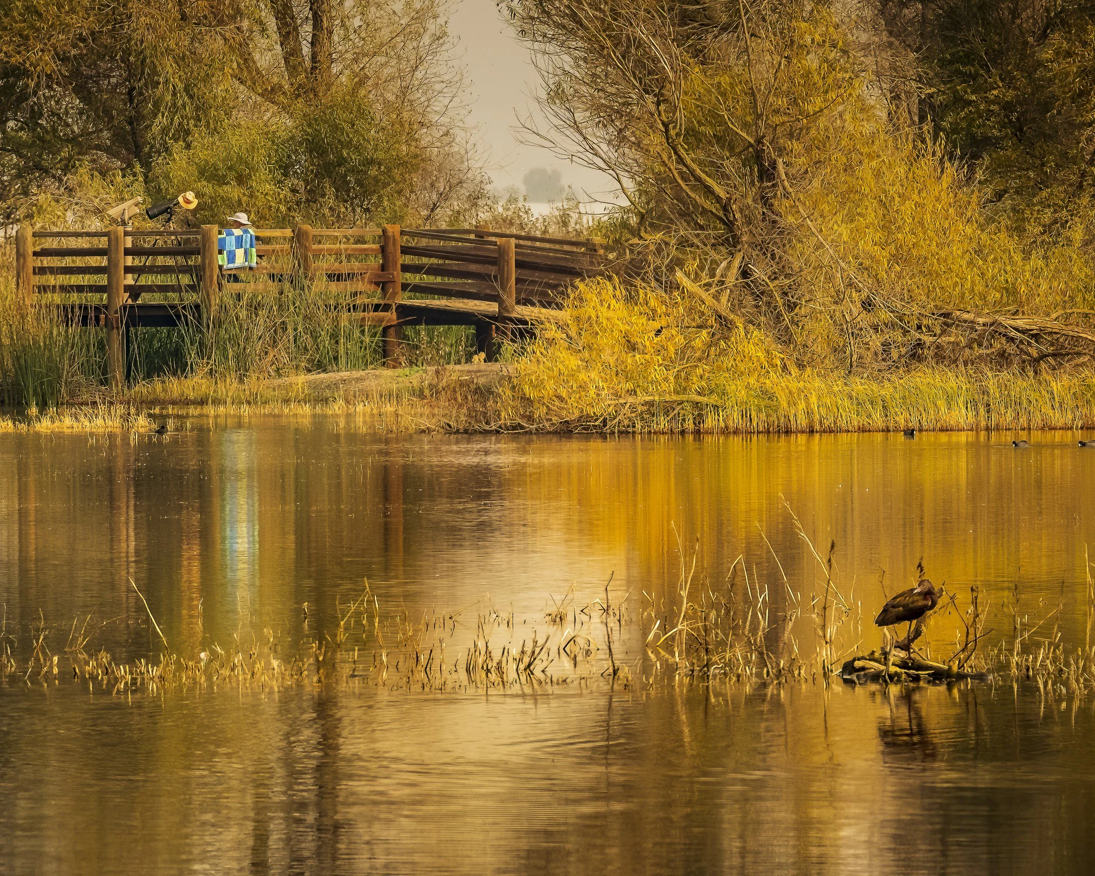 Merced National Wildlife Refuge