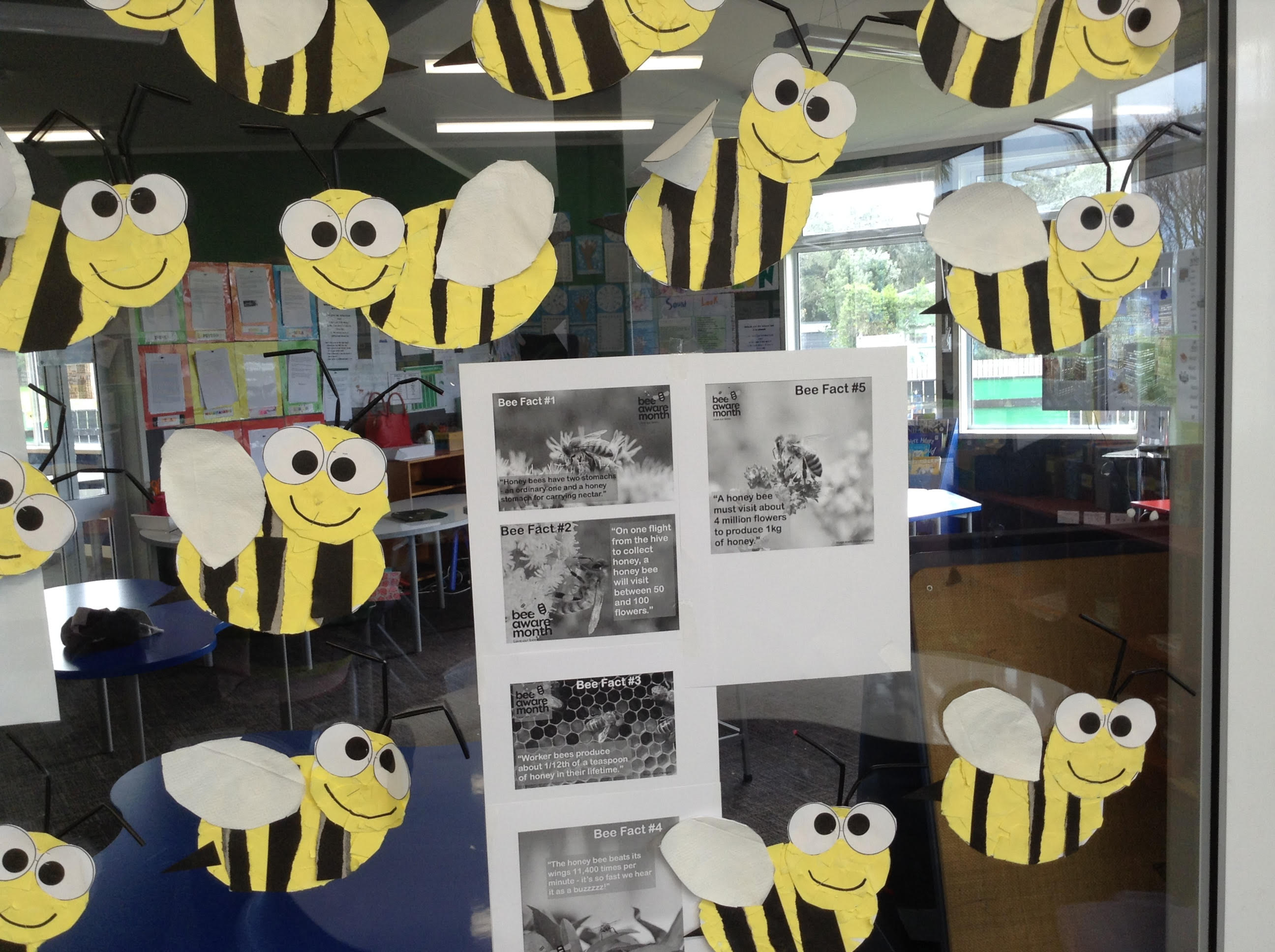#beeaheroNZ Share your knowledge about bees