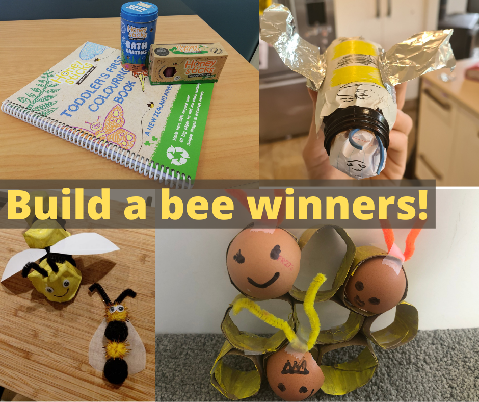 Build a bee: Pre-school comp  A big congratulations to our Build a bee winners:  ECE centre Annabel’s West Melton, Shuk Vun and Dylan Darke.