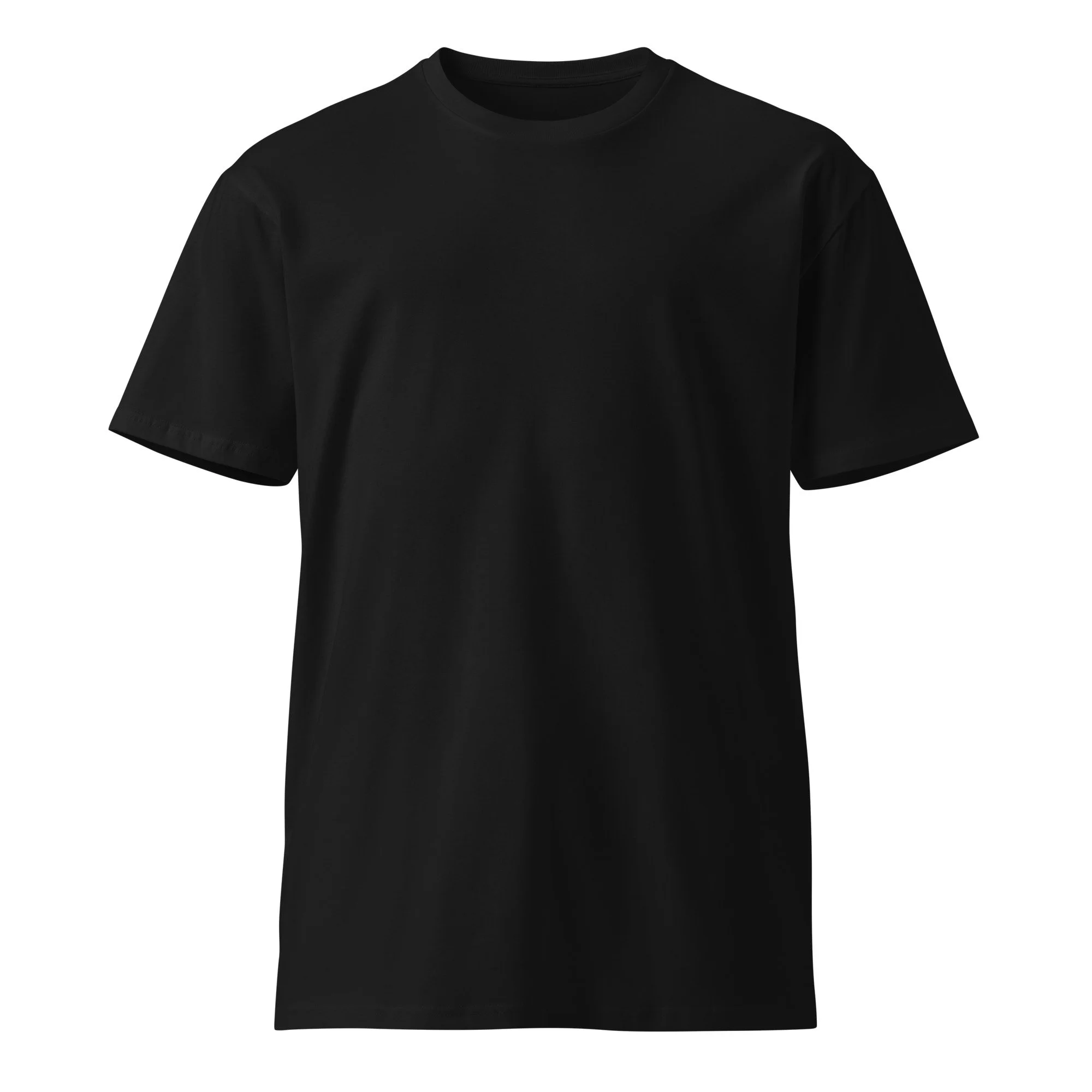 unisex-premium-t-shirt-black-front-68202abbf055d.jpg