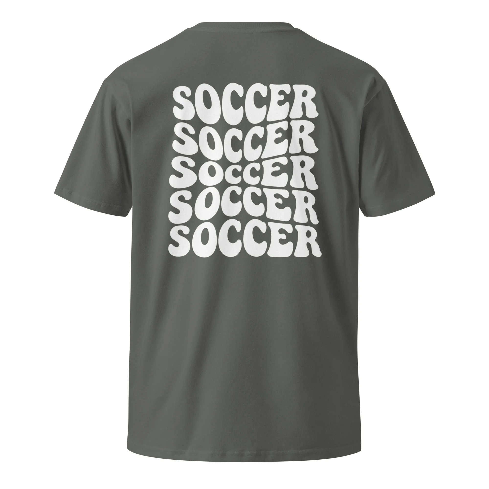 unisex-premium-t-shirt-charcoal-back-68202abbf3b12.jpg