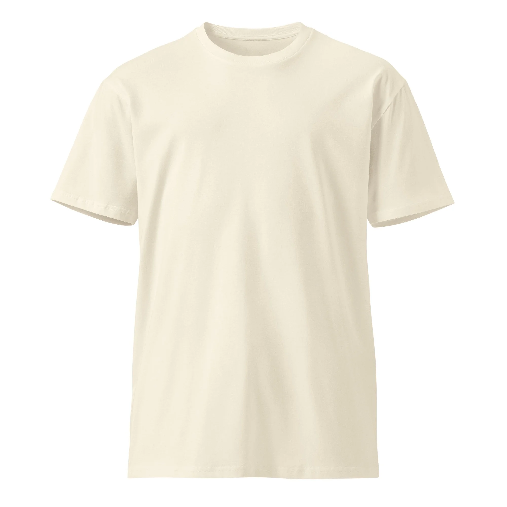 unisex-premium-t-shirt-natural-front-68202abc02cef.jpg