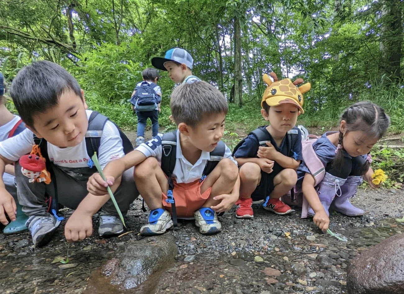 8ed41d7d-df55-4ebf-b7ec-add99c96288e copy 3.jpeg