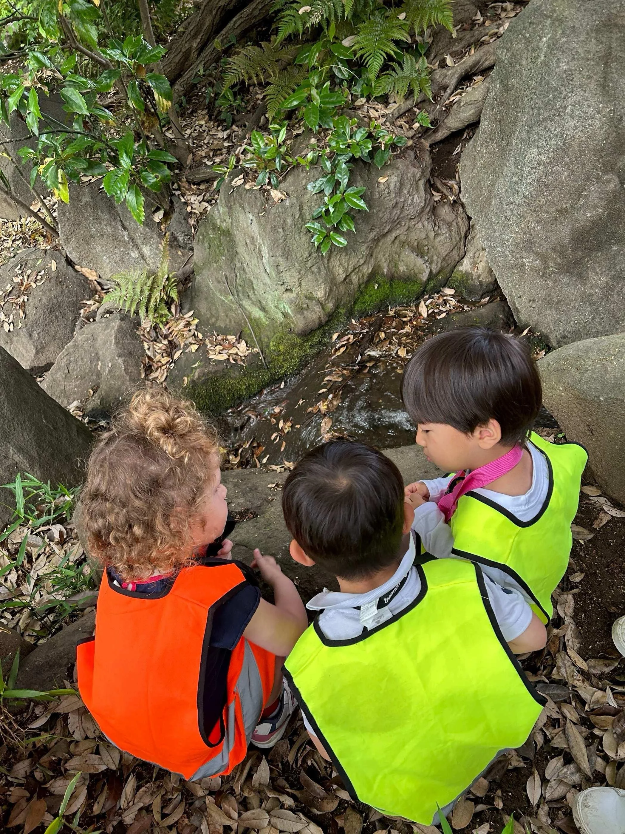 IMG_2691 copy 2.jpeg