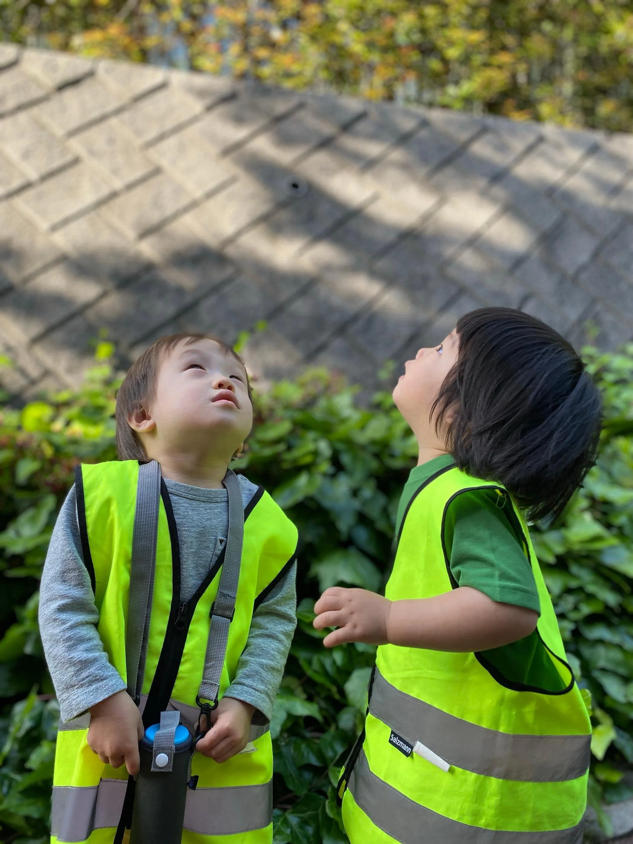 IMG_2871 2 copy.jpeg