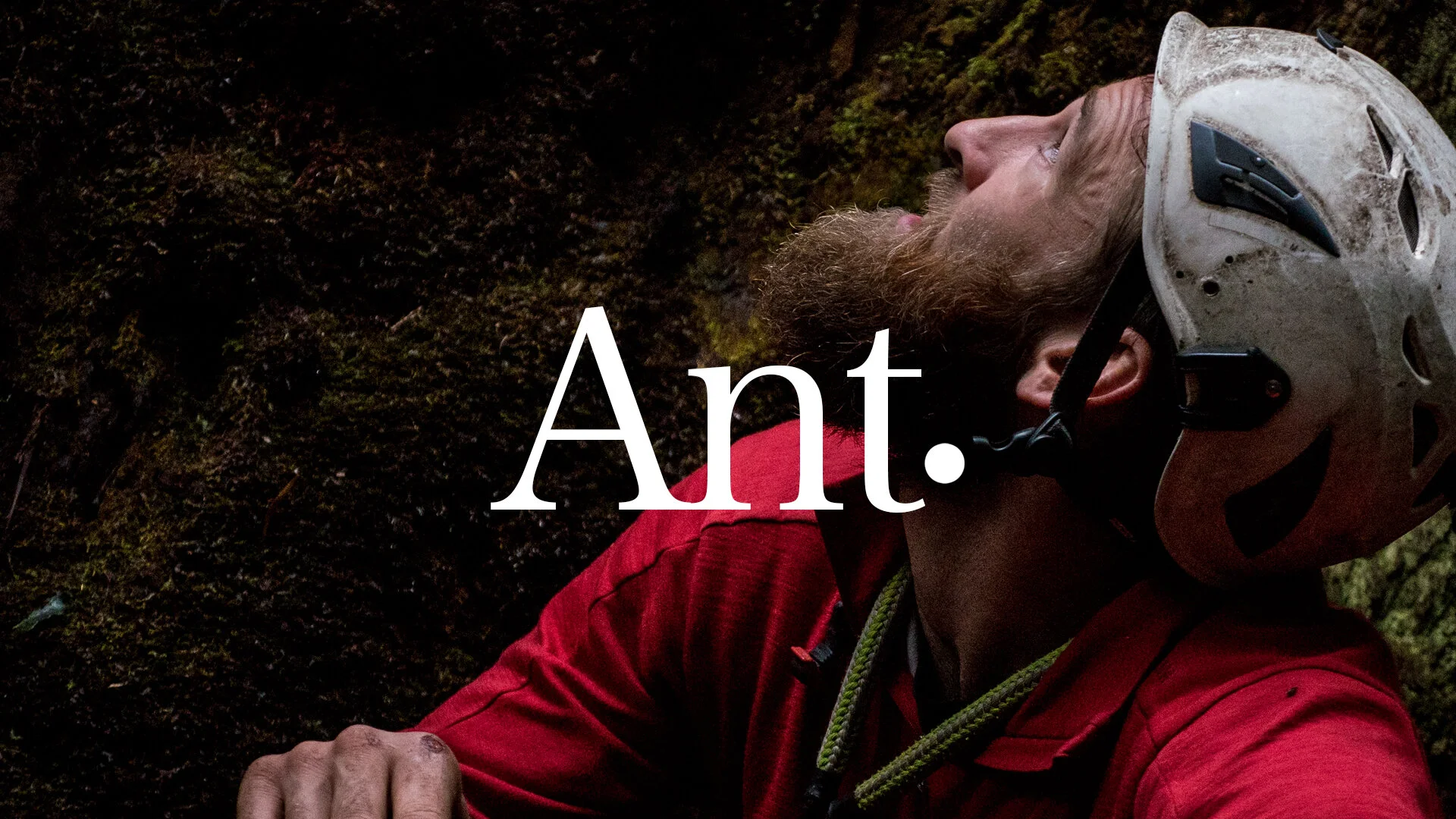 Ant documentary