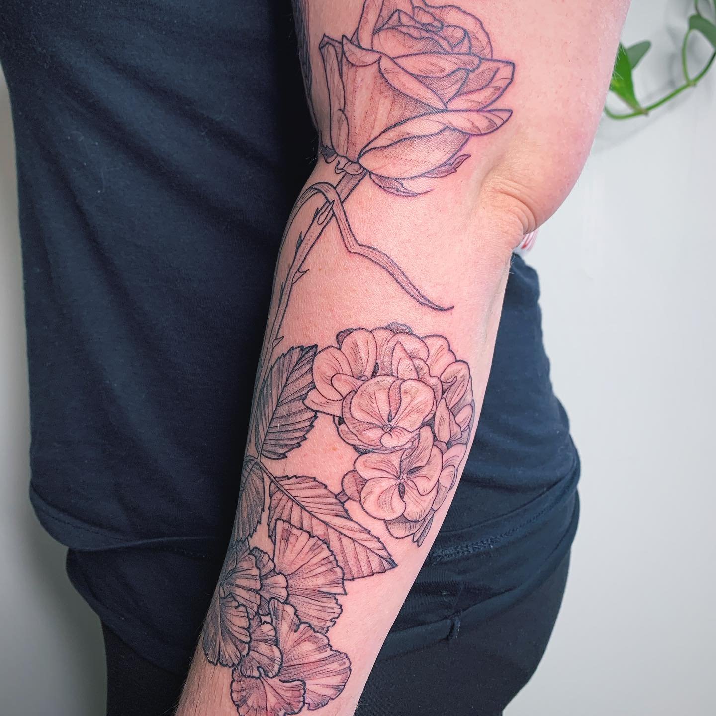 gardens full of meaning and memories

&bull;geranium, two garden roses and crinkly wheat woven together on a forearm&bull;

#BotanicalTattoo #RoseTattoo #RoseTattoos #Geranium #wheat #WheatTattoo #QueerTattoo #QueerTattooer #yyjTattoo #YyjTattooArtis