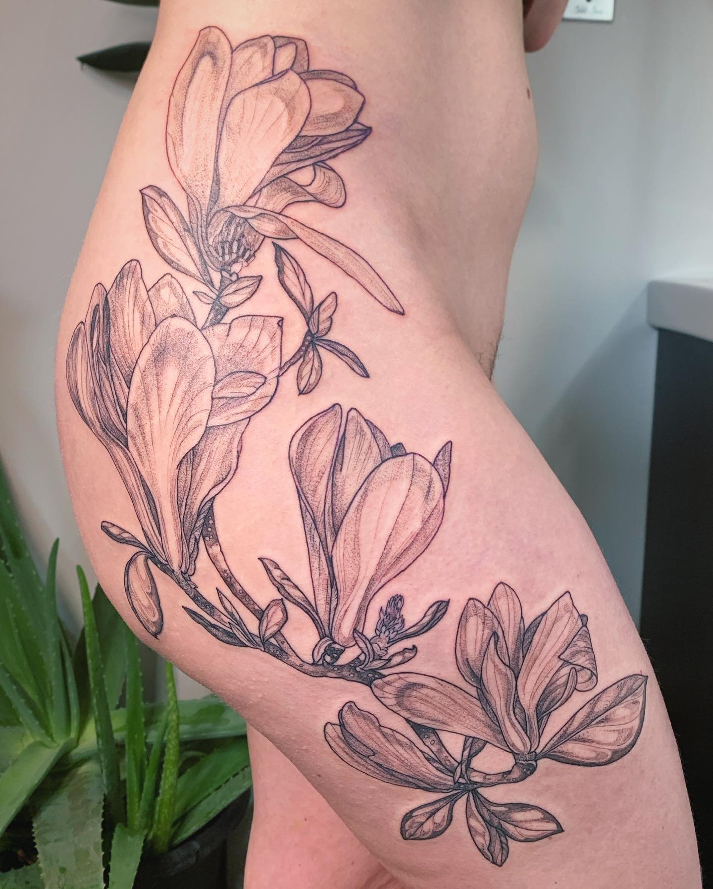 magnolias holding ancient ways &bull;
grateful for the chance to be with your soft skins

#Magnolia #MagnoliaTattoo #FloralTattooDesign #HipTattoos #BotanicalTattoos #YVRTattoo #YyJTattoo #PNWTattoo