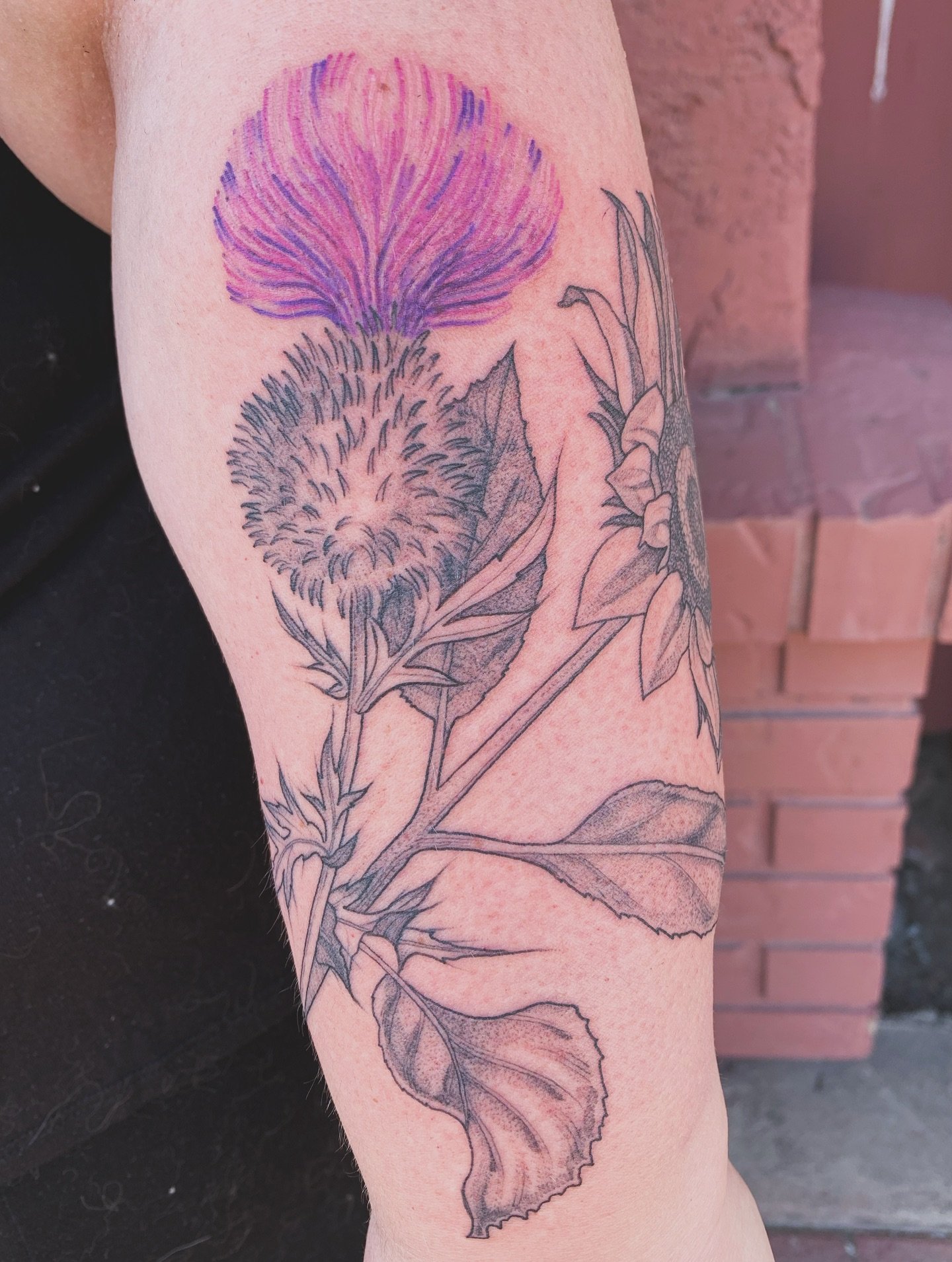 sprinkle thistle + sunflower 
made at @ranchhousetattoos 

Exploring moments of color more and more up here in the north and having a fun and also 😂 challenging 😂 time. Thanks for the push to consider the full breath of what I have to offer as a pl