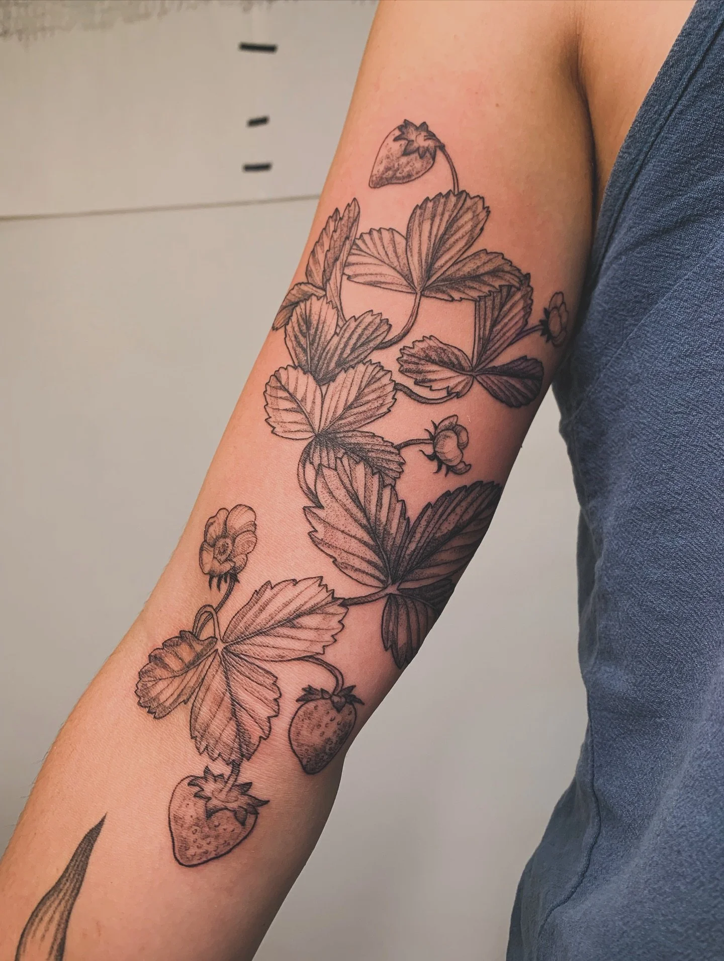 adapted strawberry flash
done at my beloved @famiglia.tattoo on the island during my guest spot !

&bull;

strawberry tattoo, cascading leaves and speckled with berries and fruits, decorates the inner arm of a client

&bull;

#Strawberry #StrawberryT