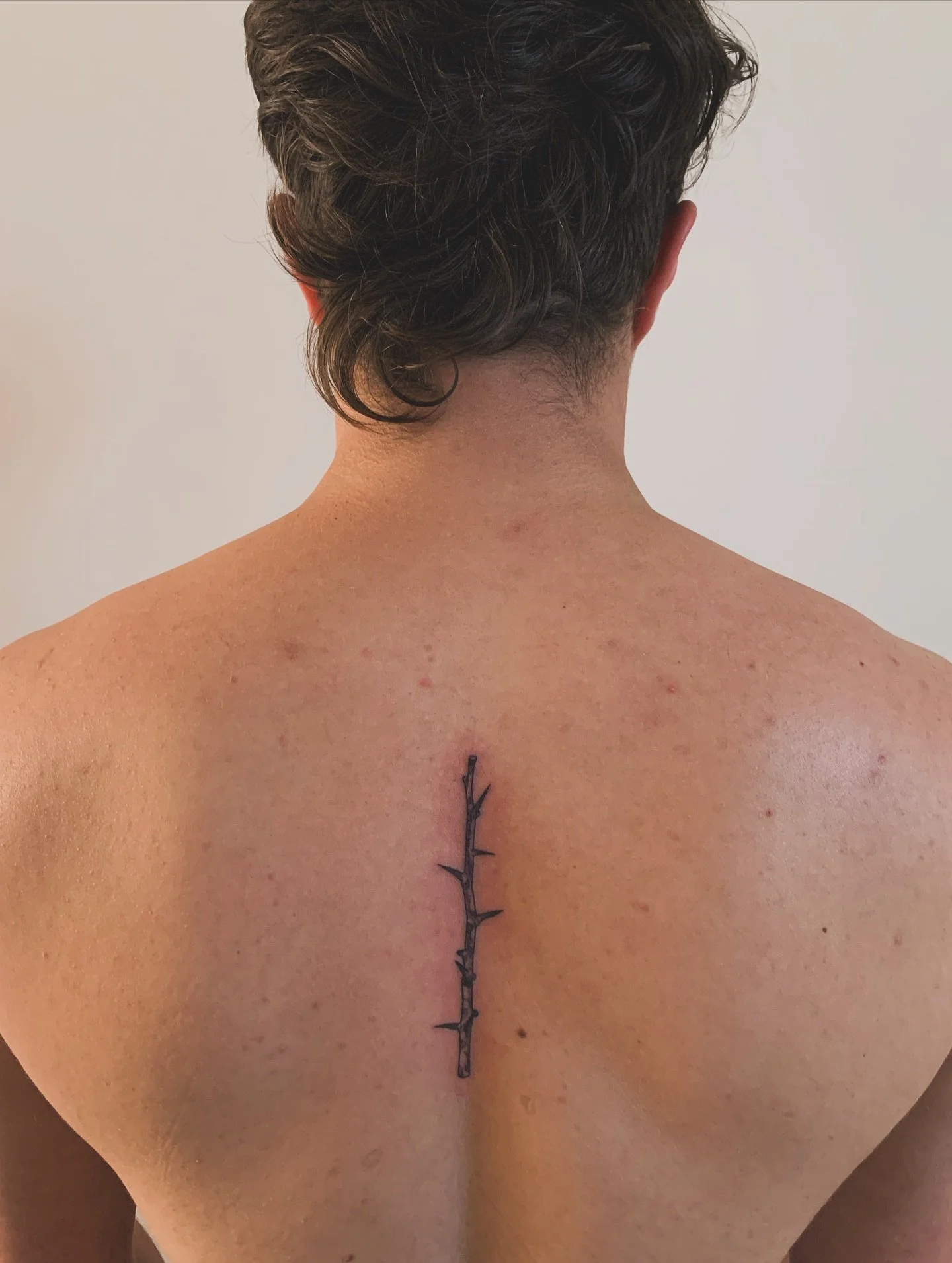 three sticks /

&bull;

#botanicalTattoo #BotanicalTattoos #BotanicalTattooArtist #Qttr #Dsrptt #QueerTattooArtist #QueerArtist #queertattooartist #PNWTattoo #PNWTattooArtist