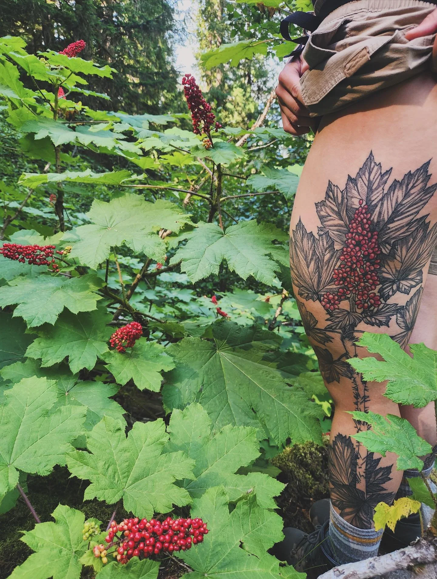 OPOLOPANAX &amp; some truly wonderful healed pictures 

&bull;

Tattooing the plants that grew you is such an honor. The practice of drawing the space between hand and seed, foot and soil, soul and earth, etching it into skin, medicine medicine medic