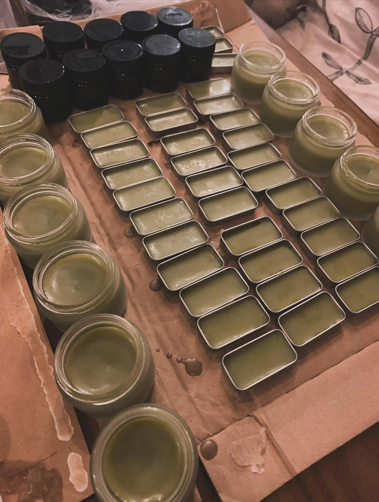 big medicine summer 🪷 &amp; pop up clinic info below

extending an enormous thank you to @mollywickham and @bits_jen for inviting me up to your Cas Yikh yintah this summer for more medicine than I have made in years. for the incredible feat of garde