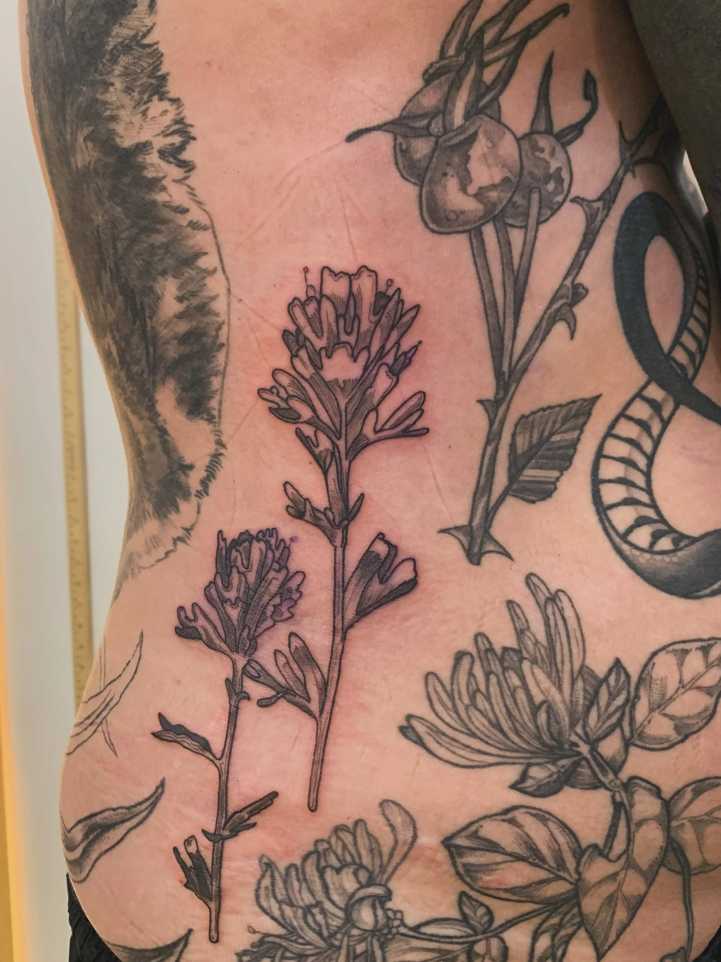🪷𝒫𝒶𝒾𝓃𝓉 𝒷𝓇𝓊𝓈𝒽 𝒢𝒶𝓅 ℱ𝒾𝓁𝓁ℯ𝓇 🪷

honored to work alongside my partner and pals to bring this all together. 

&bull; Healed honey suckle and rose hips
&bull; fox, vultures and branches by @trichocarpa 
&bull; jaw bone by @_mostlynever_ 
&
