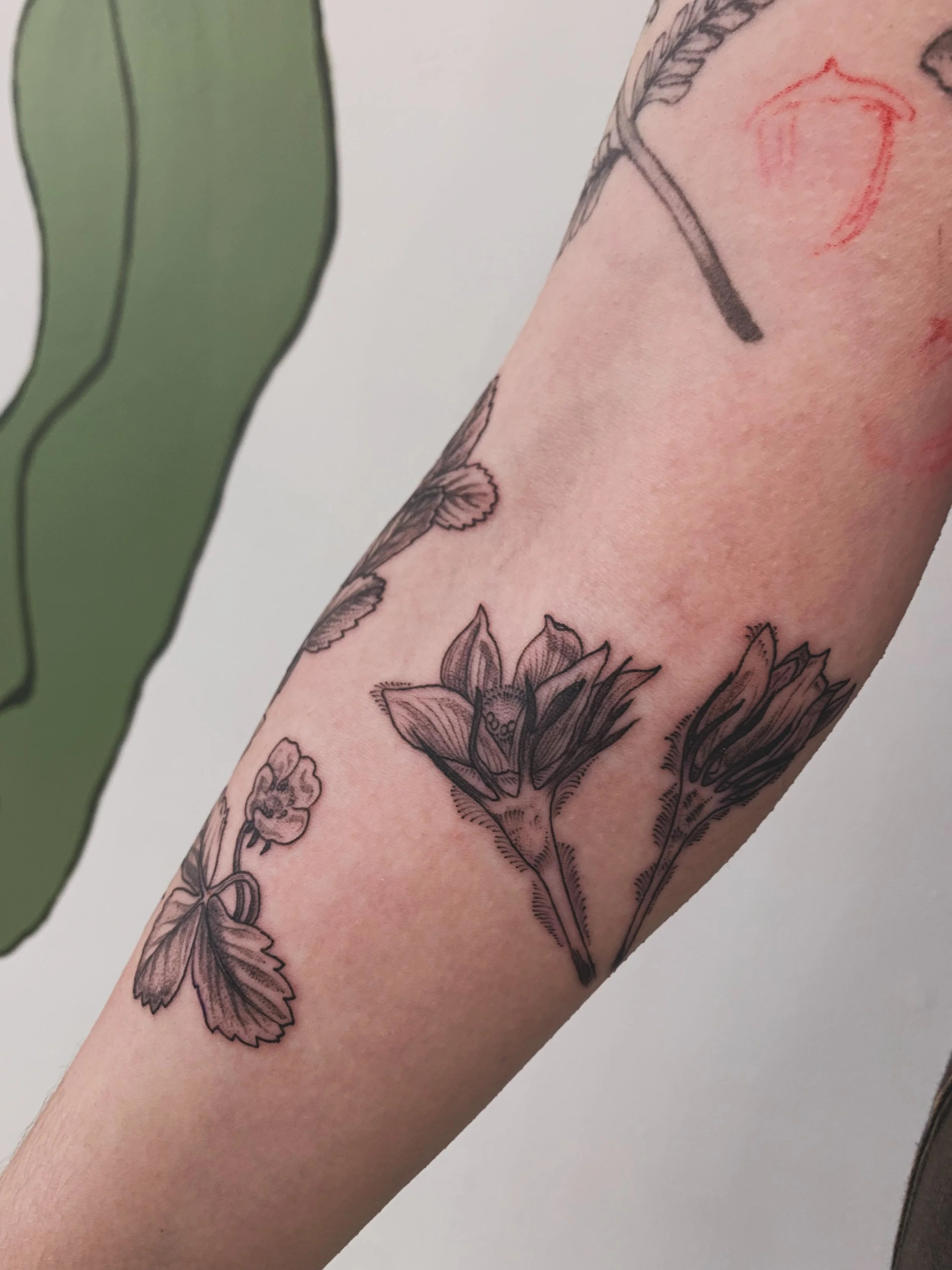 ✨ prairie crocus and a wild strawberry ✨

space, composition &amp; anatomy are all parts to consider when placing a stencil. how does this placement fit? how does it help your body feel like home? 

#CalgaryTattoo #YYCTATTOO #botanicalTattoo #Alberta