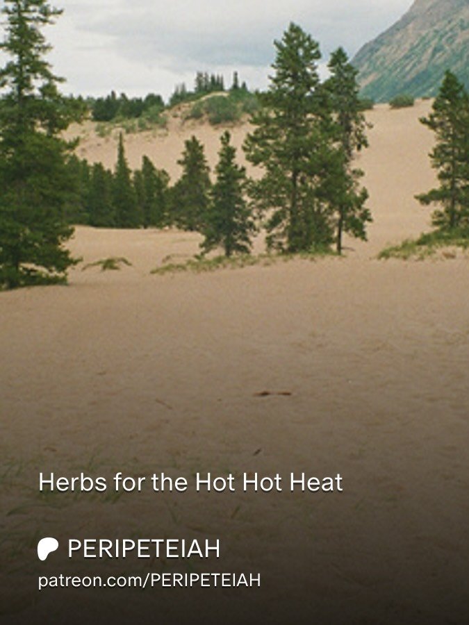 * new Patreon drop *

Herbs for the Hot Hot Heat. Available for free or subscription on my Patreon and website. New content monthly.

the smoke has reached the city from forest fires, consuming the lives and homes of many plants and animals and peopl