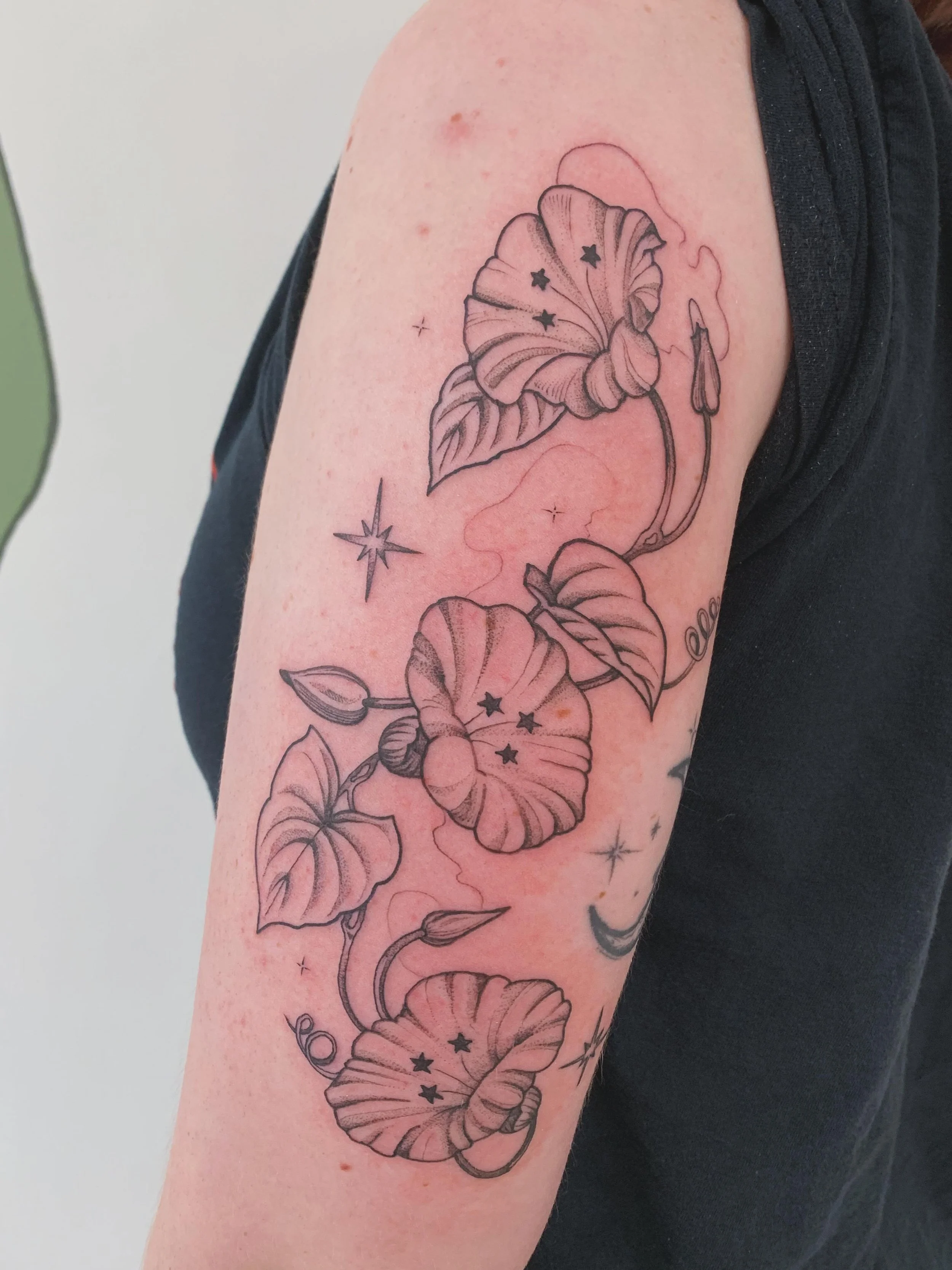✨ ɱơơŋ ʄƖơῳɛཞ✨

this client asked for a whimsical moonflower ! If you would also like a whimsy plant let me know ! Booking for July and August. 

learning to adapt to a new style brings up interesting design challenges and also as a mutable Pisces ca
