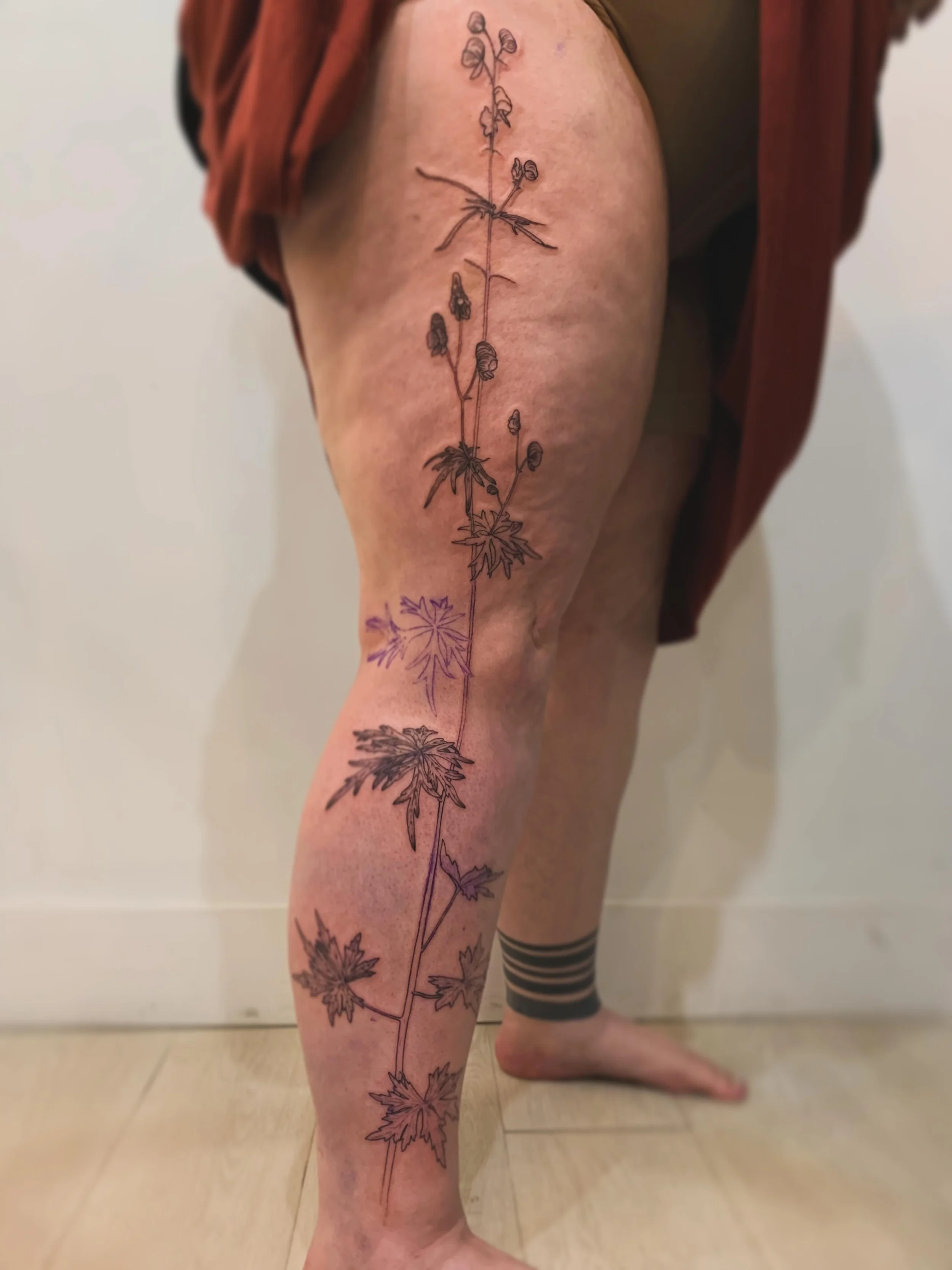 🐺𝓐𝓬𝓸𝓷𝓲𝓽𝓮🐺

work begun on this true to life aconite 
reminiscing of the time spent contemplating this poison

booking in bio , to call in your medicines 

#YYCtattoo #CalgaryTattoo #BotanicalTattoos #AlbertaTattoo #qttr