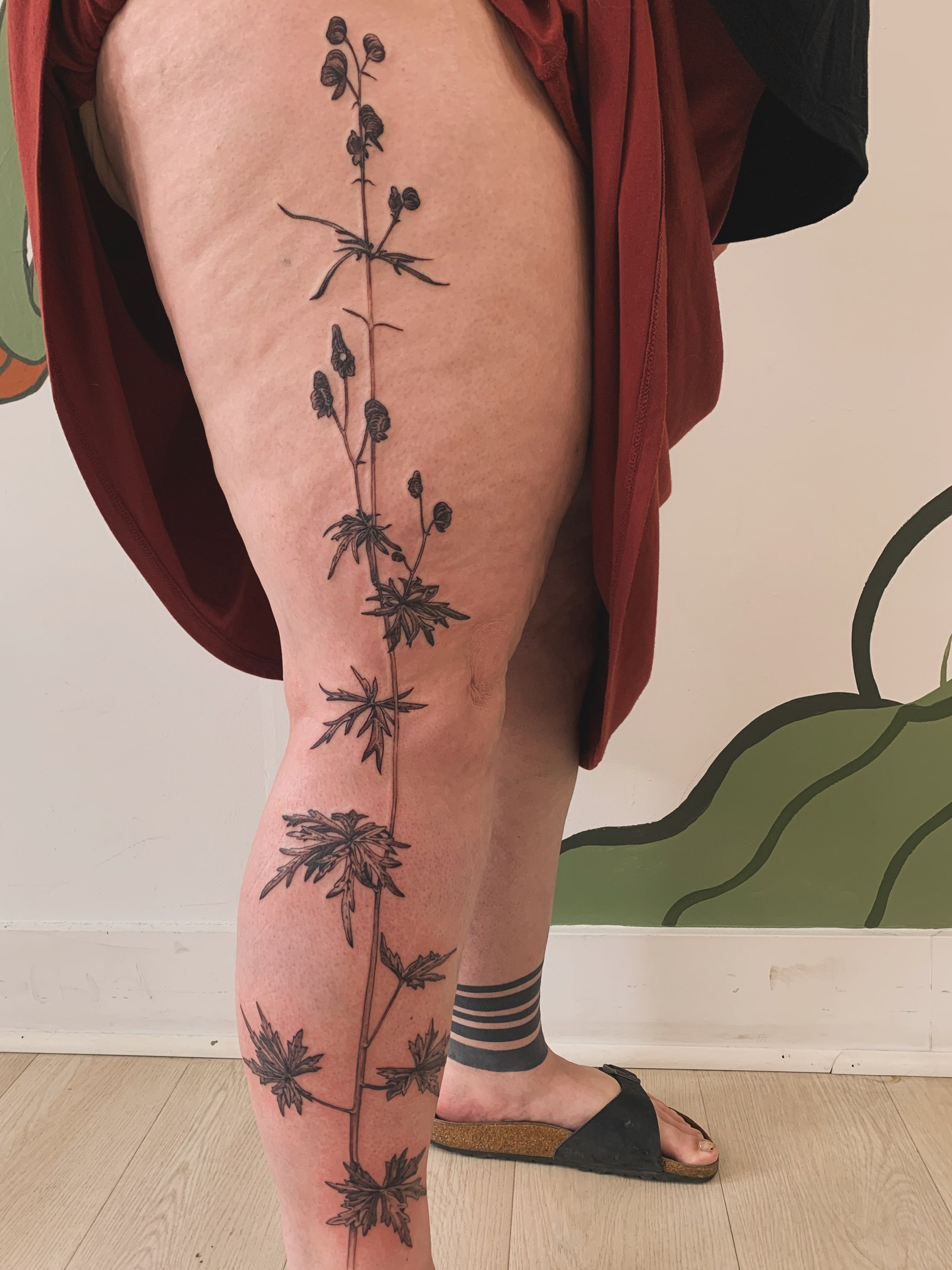 🌱Aconite Adornment 🌱

for poison and plant lovers

booking fall YYC!

#CalgaryTattoo #CalgaryArt #CalgaryArtist #YycTattoo #Qttr

This aconite leg piece was done over two sessions to bring the poison up the leg

Using many shades of grey and black,