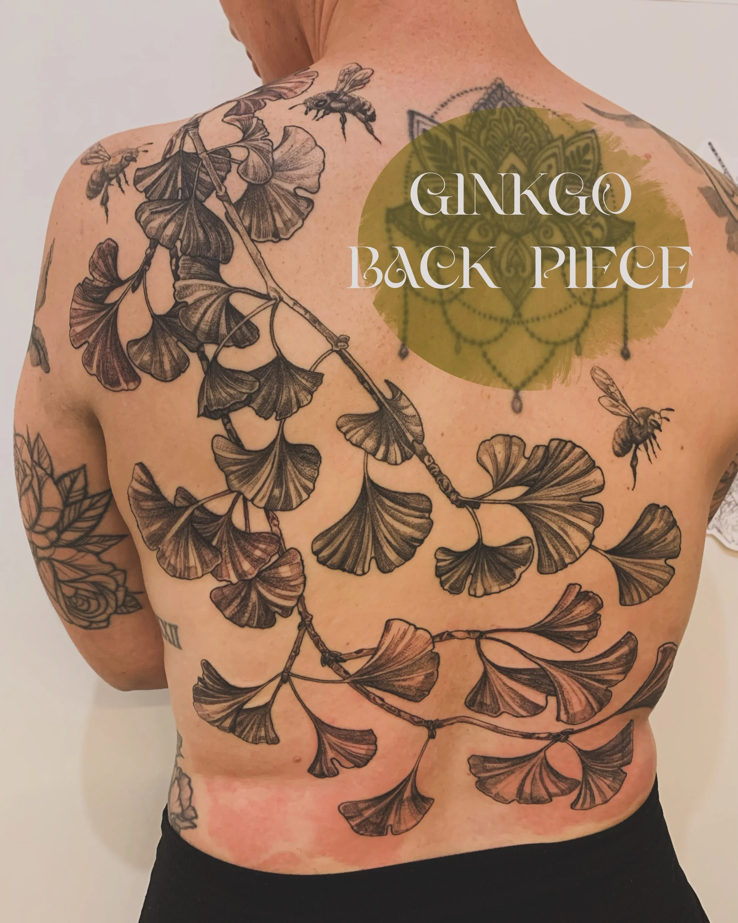 GINKGO BACKPIECE !
completed in three sessions for the sweetest human 🌞
it could be you - booking for September 
&amp; beyond in YYC

ID: a tattoo of a cascade of ginkgo leaves tethered to their branches sweep over the shoulder and across to the low