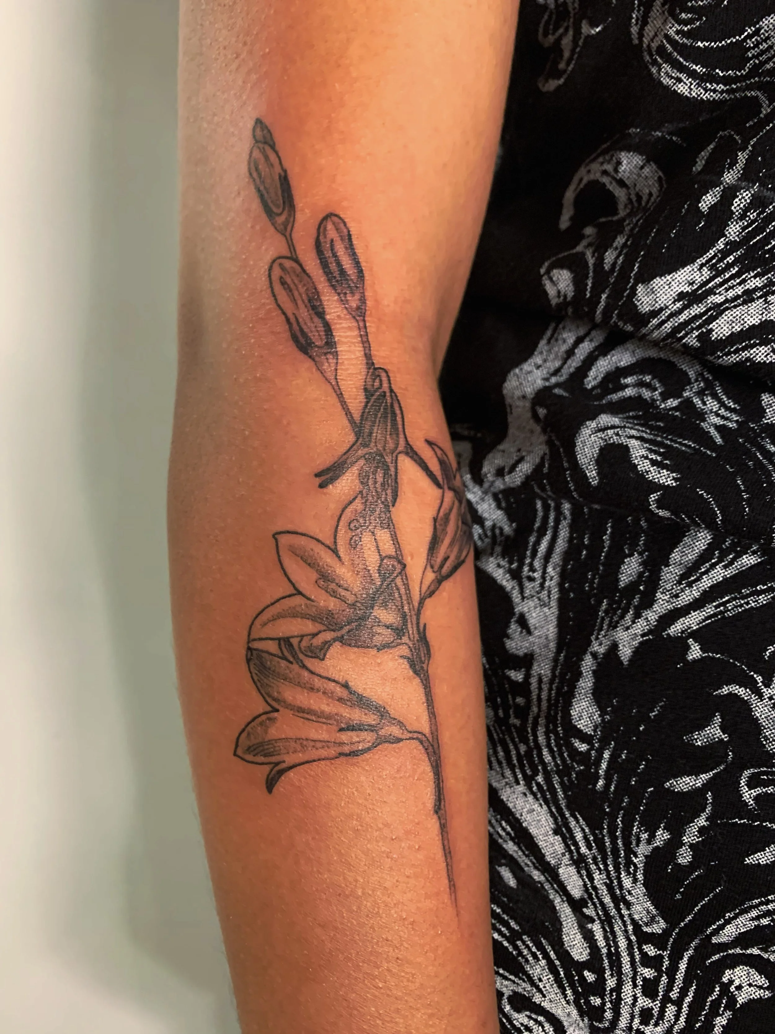 : Alaskan Harebell Flash
: completed in 1.25 hrs

I draw plants like the strings between us from our mouths to our eyes to our skins and back again . 

#YYCtattoo #CalgaryTattoo #AlbertaTattoo #BotanicalTattoo #Qttr