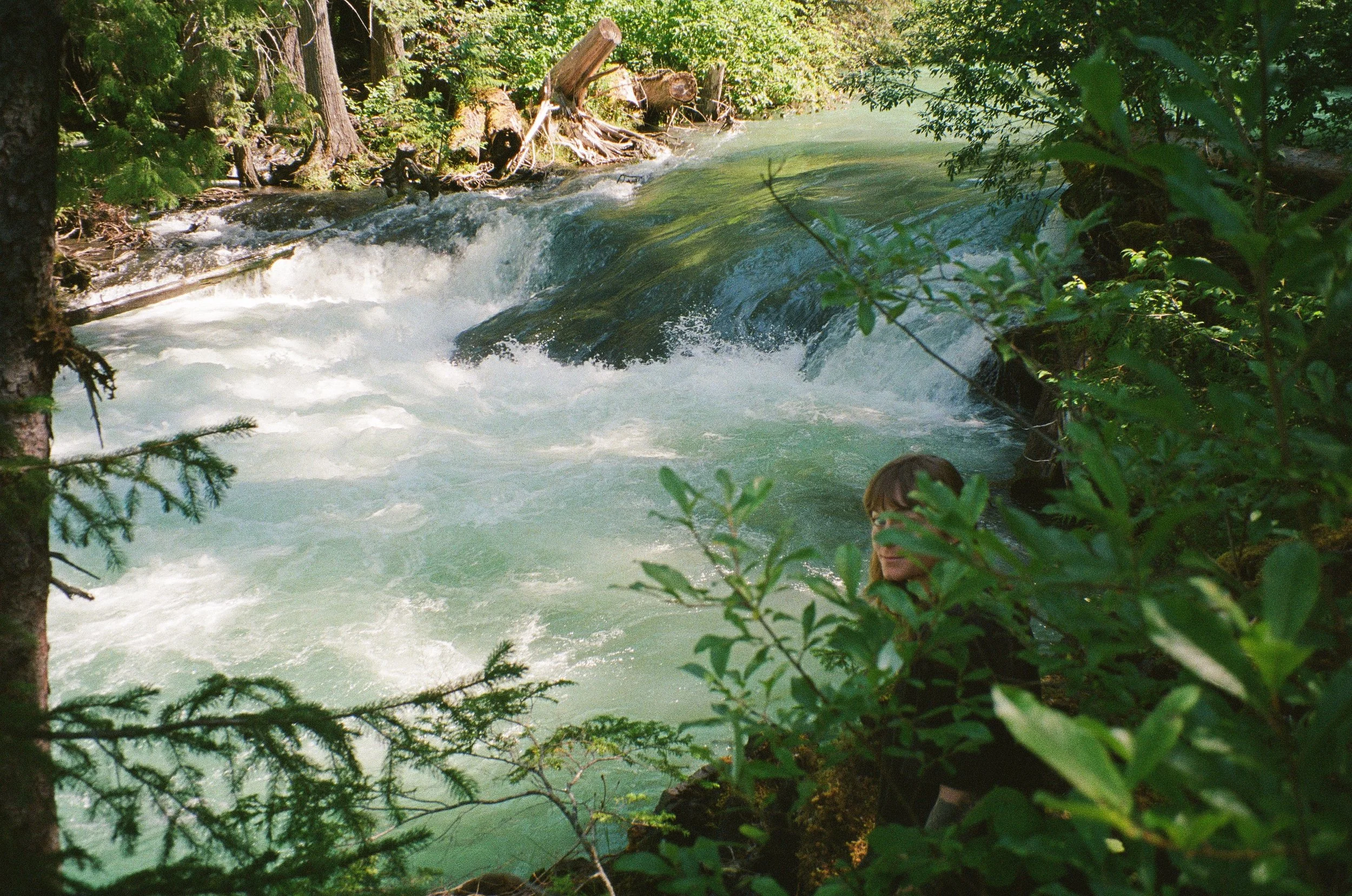 A girl sits next to a waterfall coursing past cedar trees. There is willow shrub and a fir tree in the foreground, obscuring her face, in part.