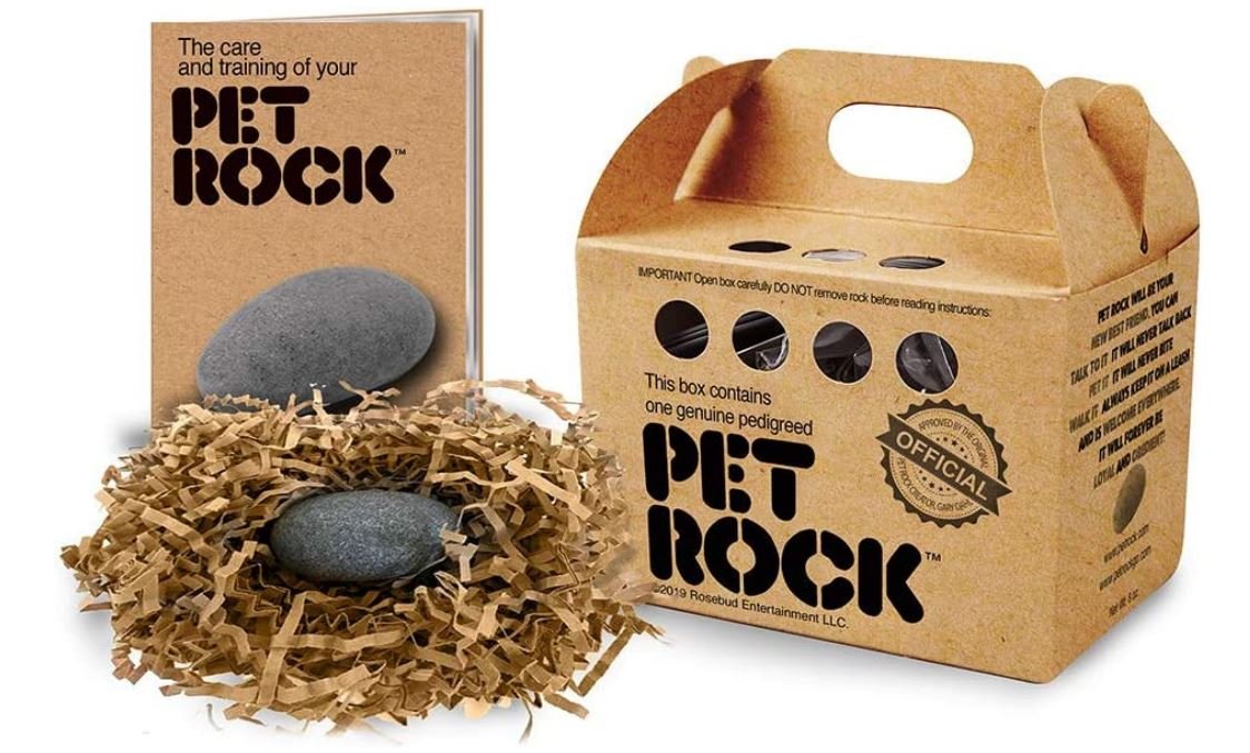 Pet Rock As Seen in The Minions Movie - Mama Likes This