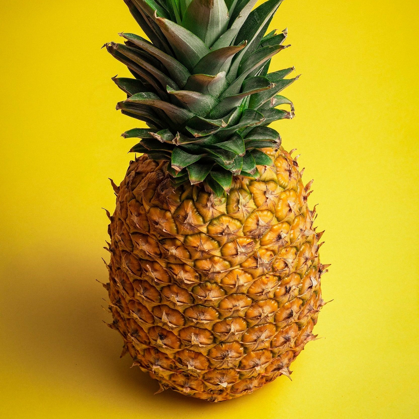 Pineapple, Description, History, & Facts