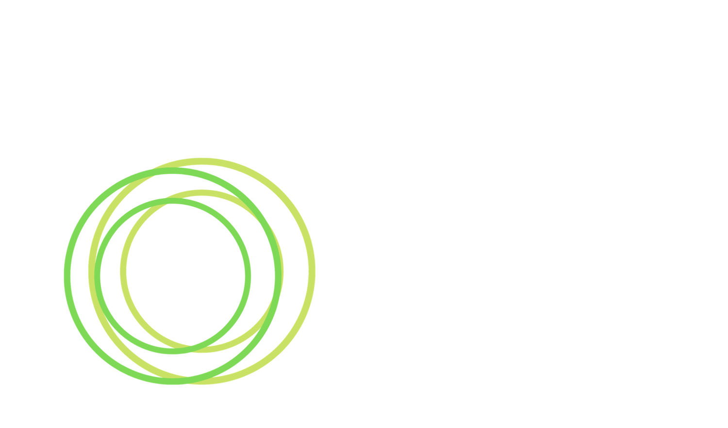 Your Culture Strategy | DISC Profiles | Business Transformation