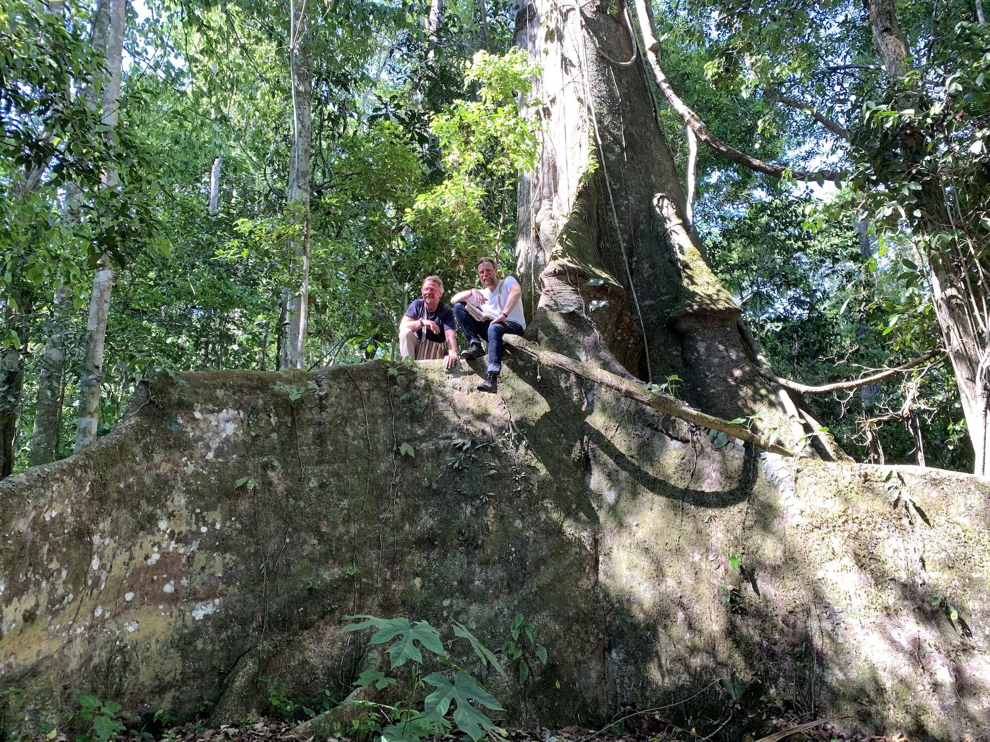 Long Way Up Contributes to Cool Earth