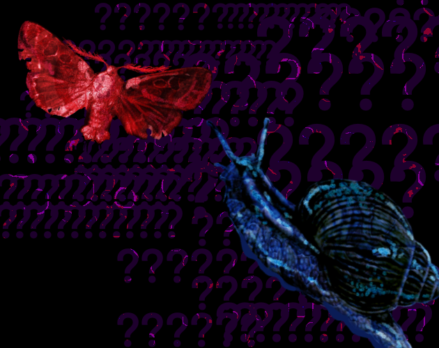 How to Make Snails Fly