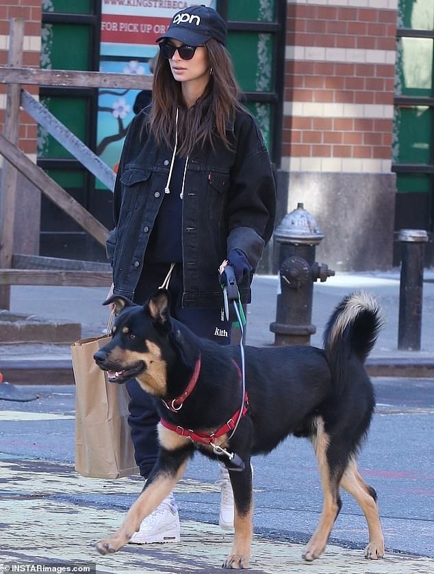 Emily Ratajkowski steps out for supplies with Sebastian and Colombo.jpg