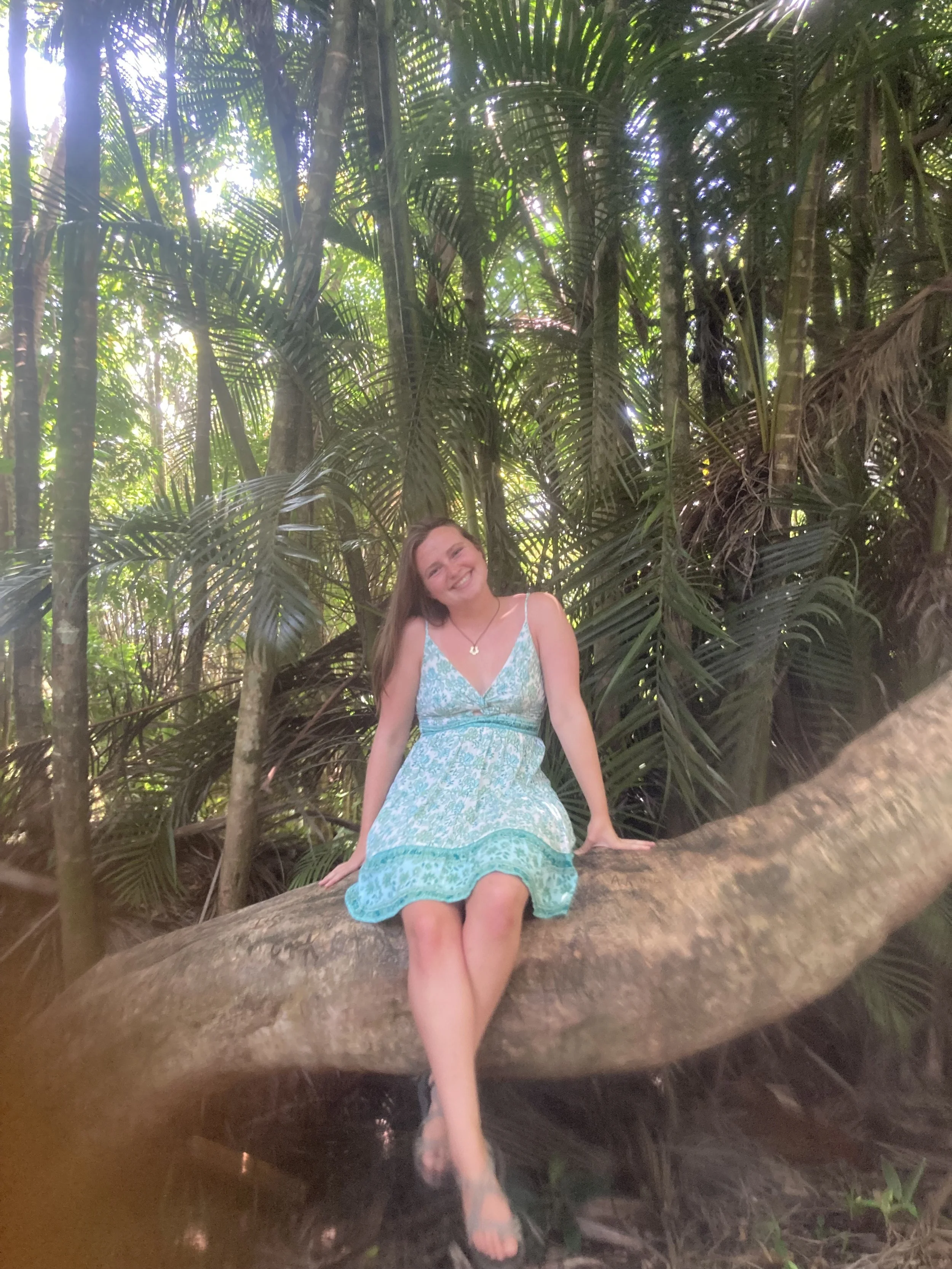 Cassidy Bullas | Vice President of Administration