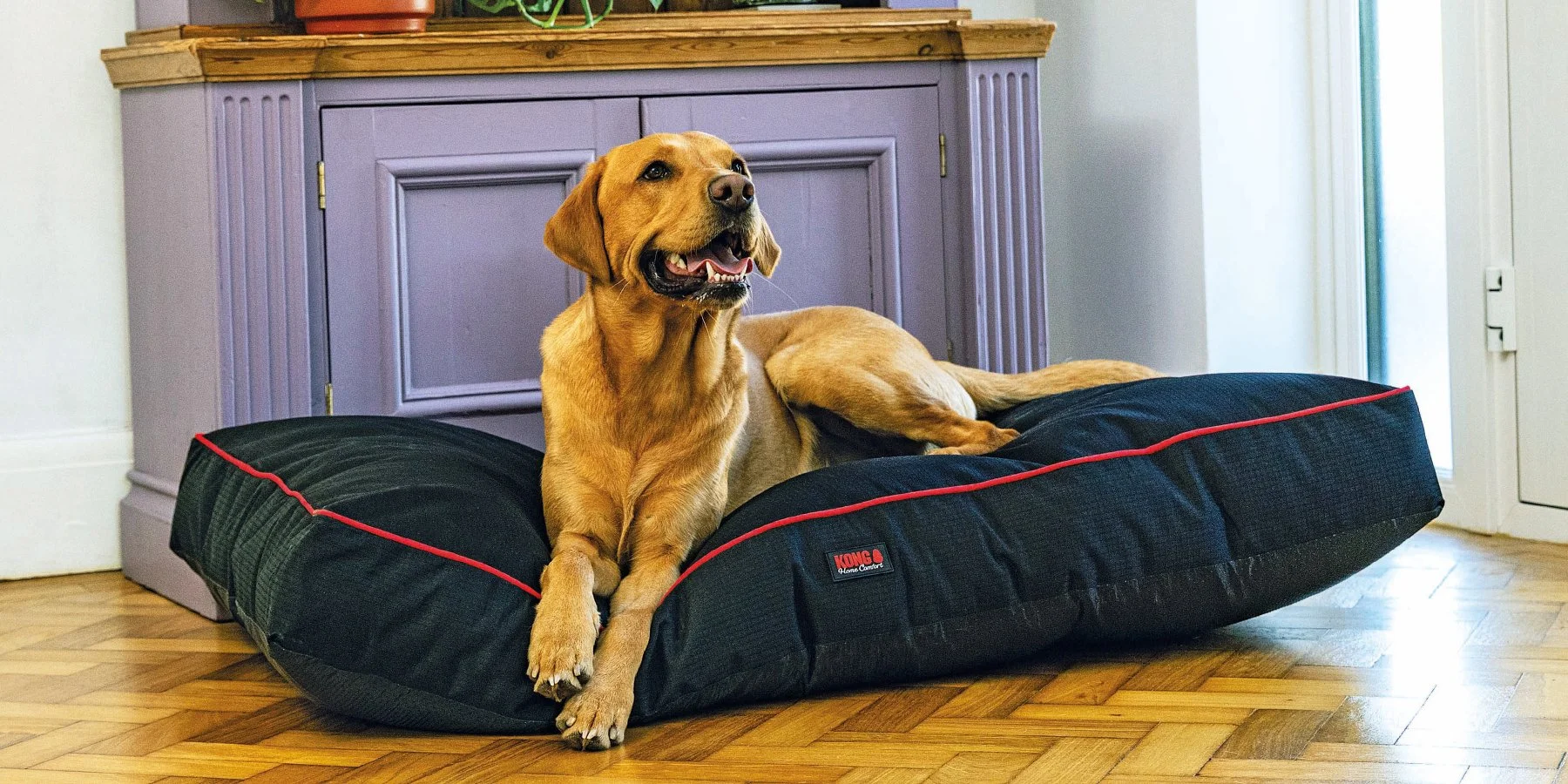 Home-Comfort-Black-L-Mat.jpg