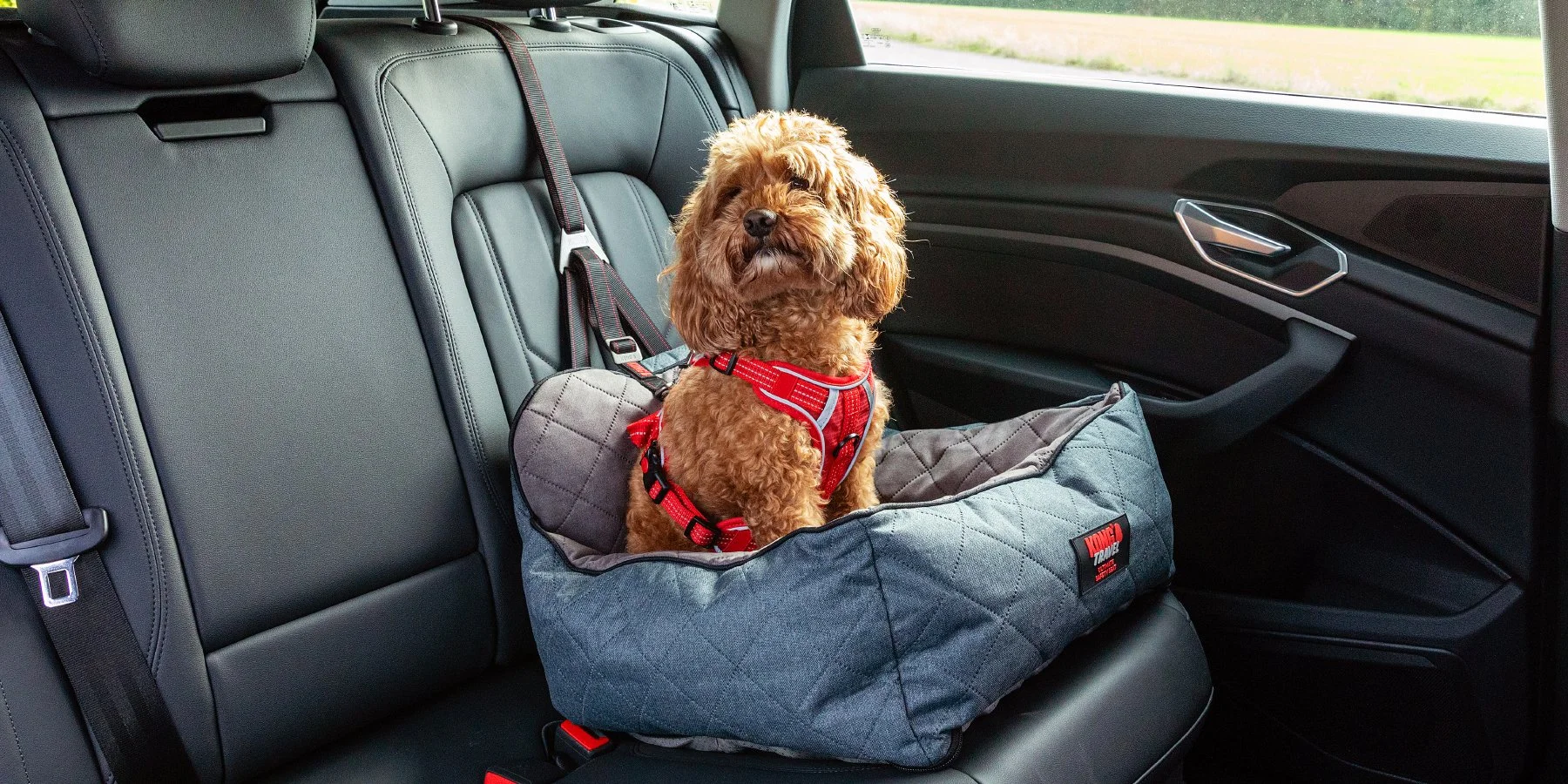 Safety-Seat-Small.jpg
