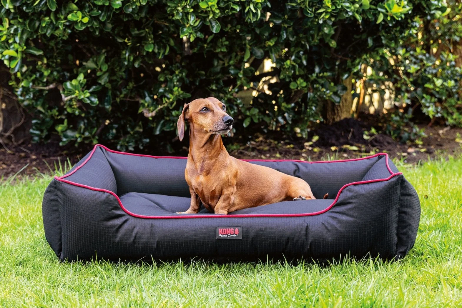 Home-Comfort-Black-M-Bed-Web.jpg
