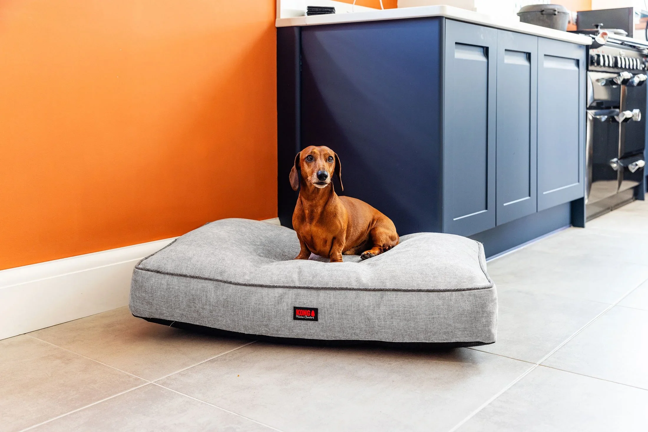 KONG Comfort Dog Mat Light Grey - Large - BLACK FRIDAY SALE