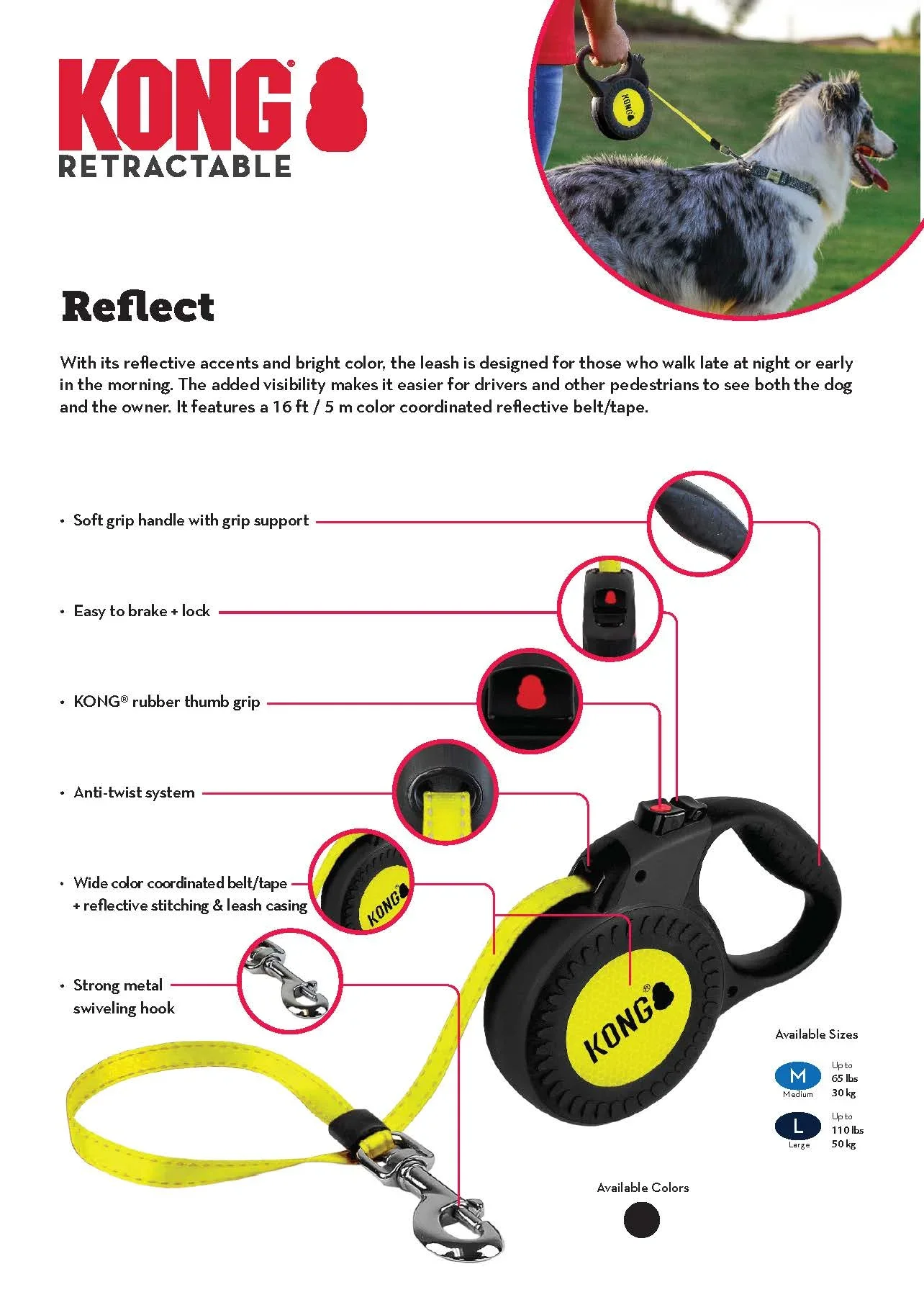 KONG Reflect Sale Sheet 2022-preview.webp