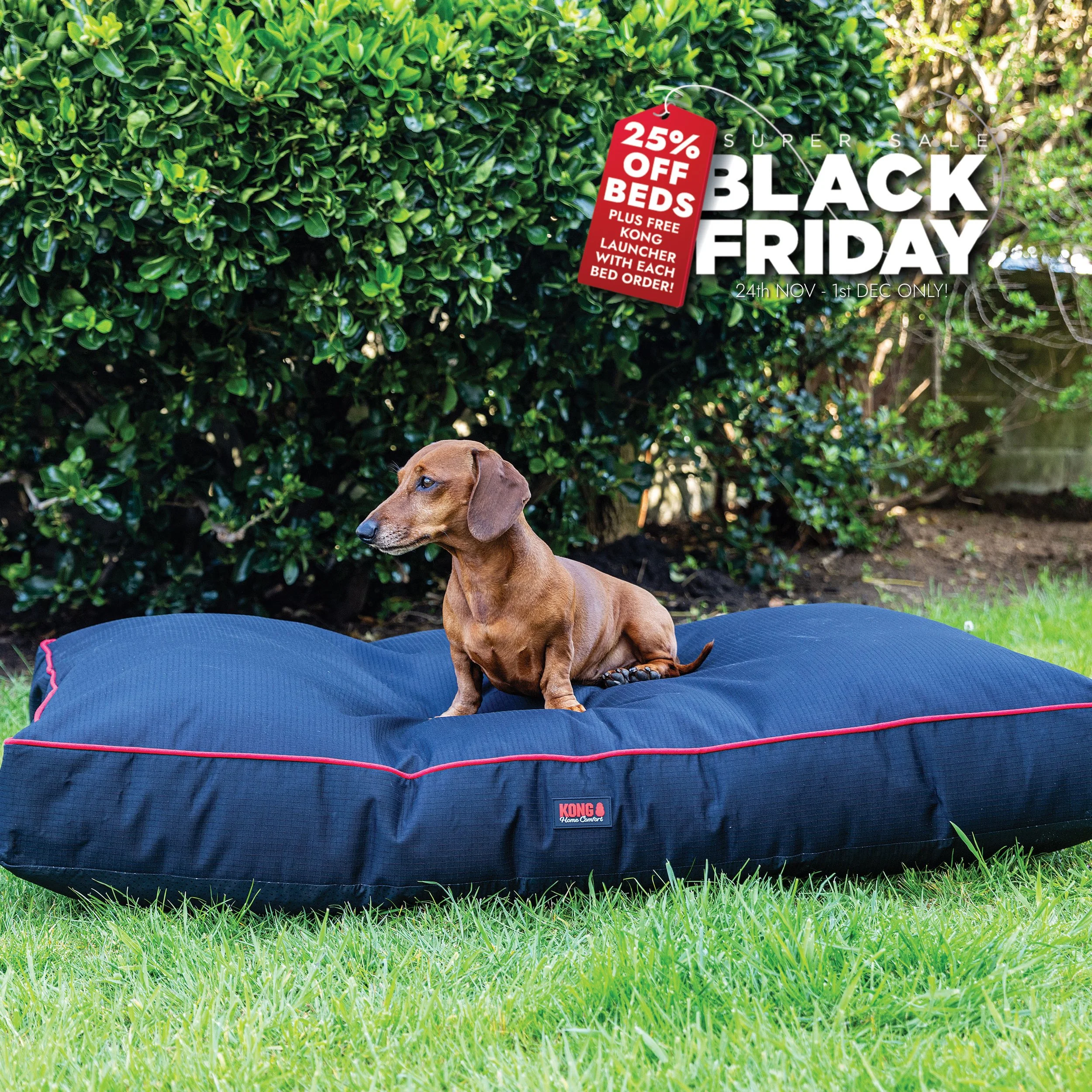 KONG HOME COMFORT MAT M BLACK FRIDAY SALE