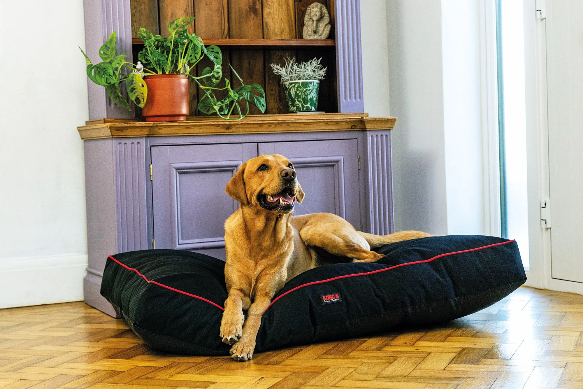 KONG HOME COMFORT MAT BLACK L BLACK FRIDAY SALE