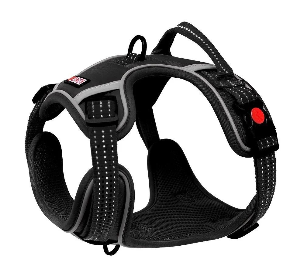 KONG CONTROL HARNESS