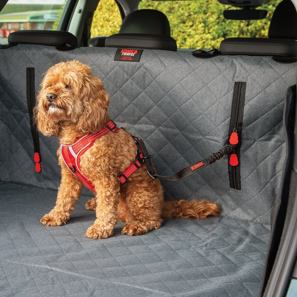 Kurgo Petco Dog Seatbelt Kurgo Kong Harness Chewy Dog