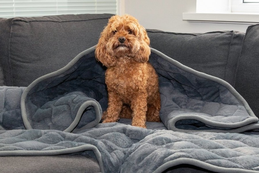 KONG Weighted Calming Blanket 148 x 135cm
