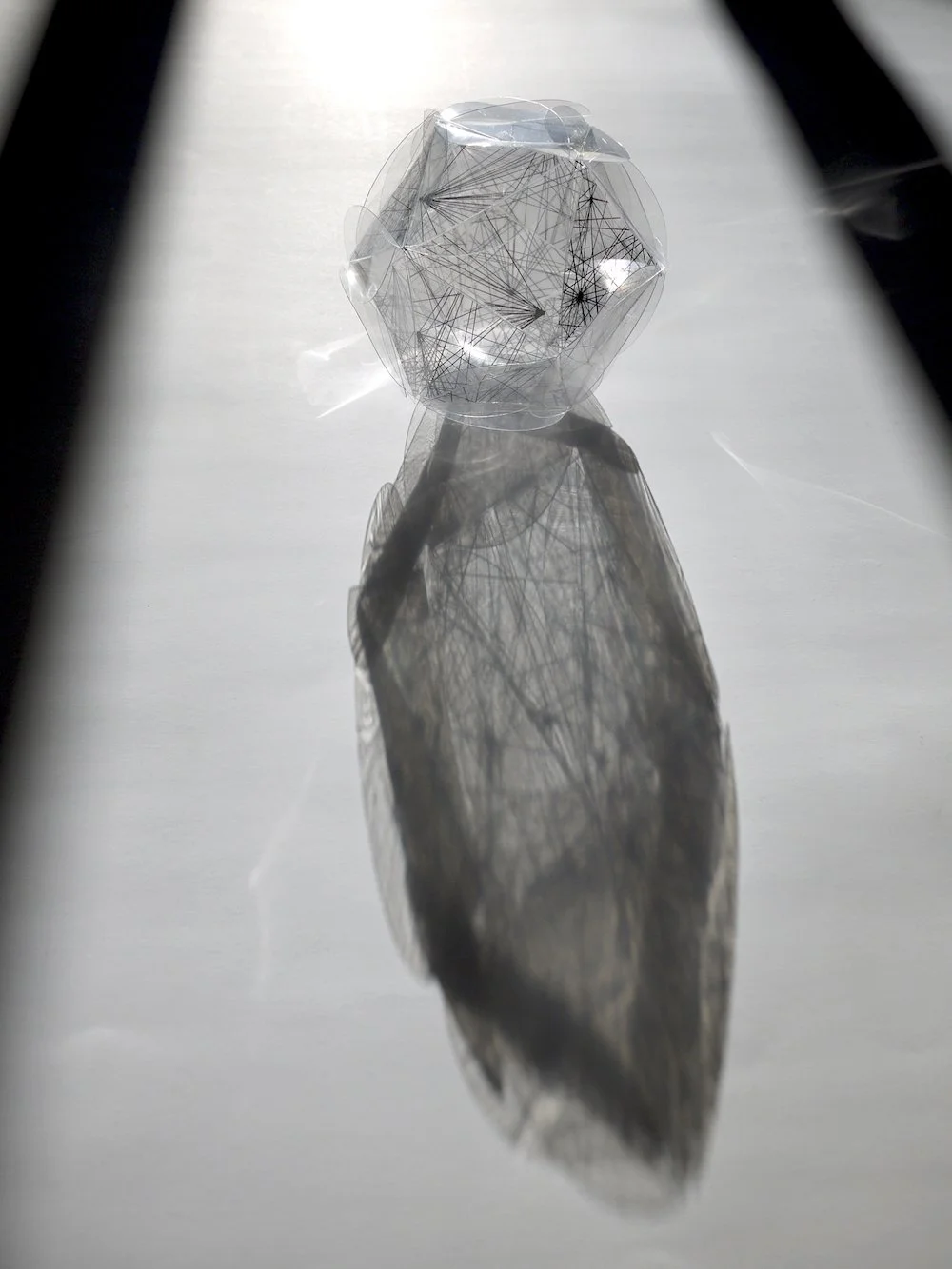 5. Icosohedron 1.jpg