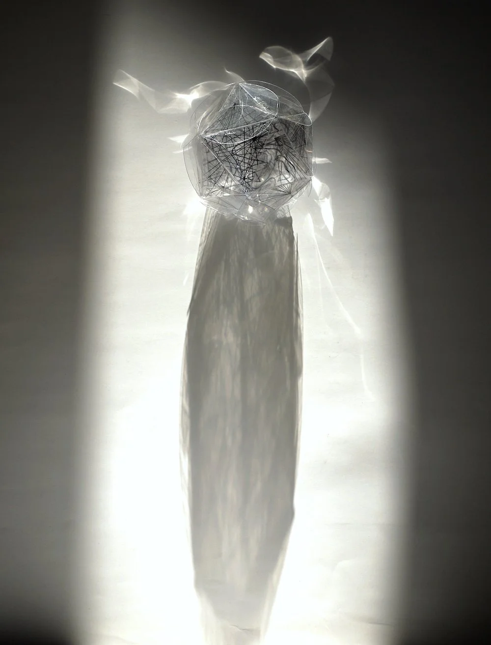 6. Icosohedron-2.jpg