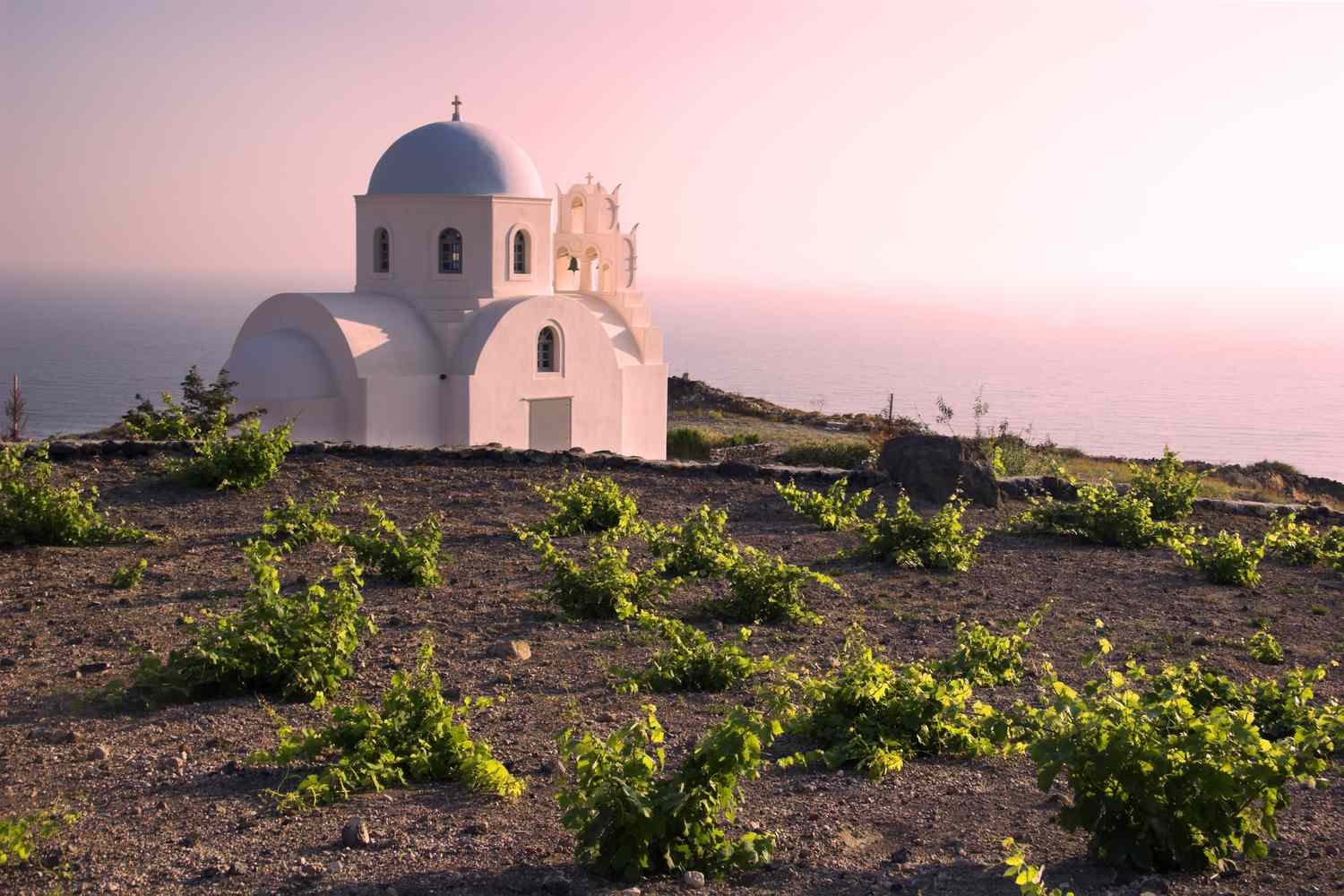 Wine-Flight-Greece-Santorini-MAG-0524-dc8d12fbbbdb45cdb2ceaa504b3540bf.jpg