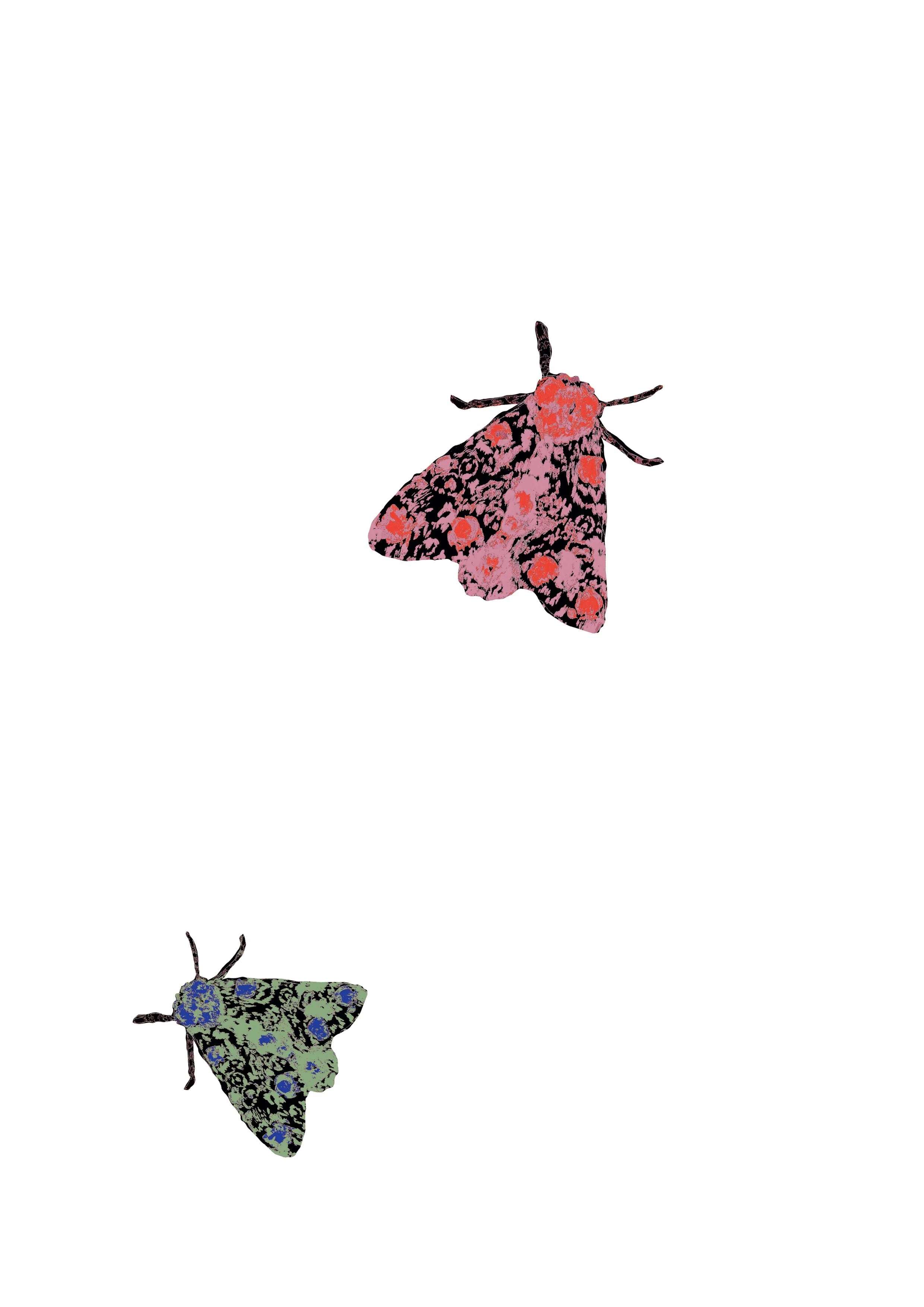 moth1 copy.jpg