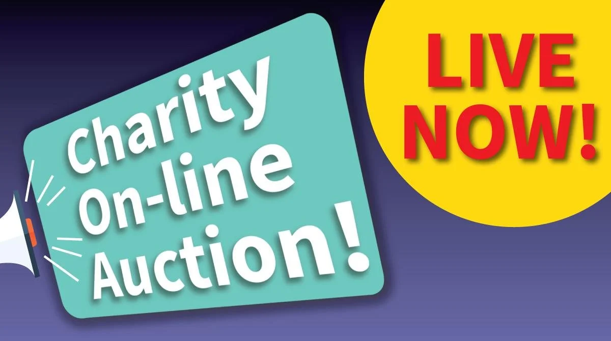 Online Christmas Auction - Now LIVE